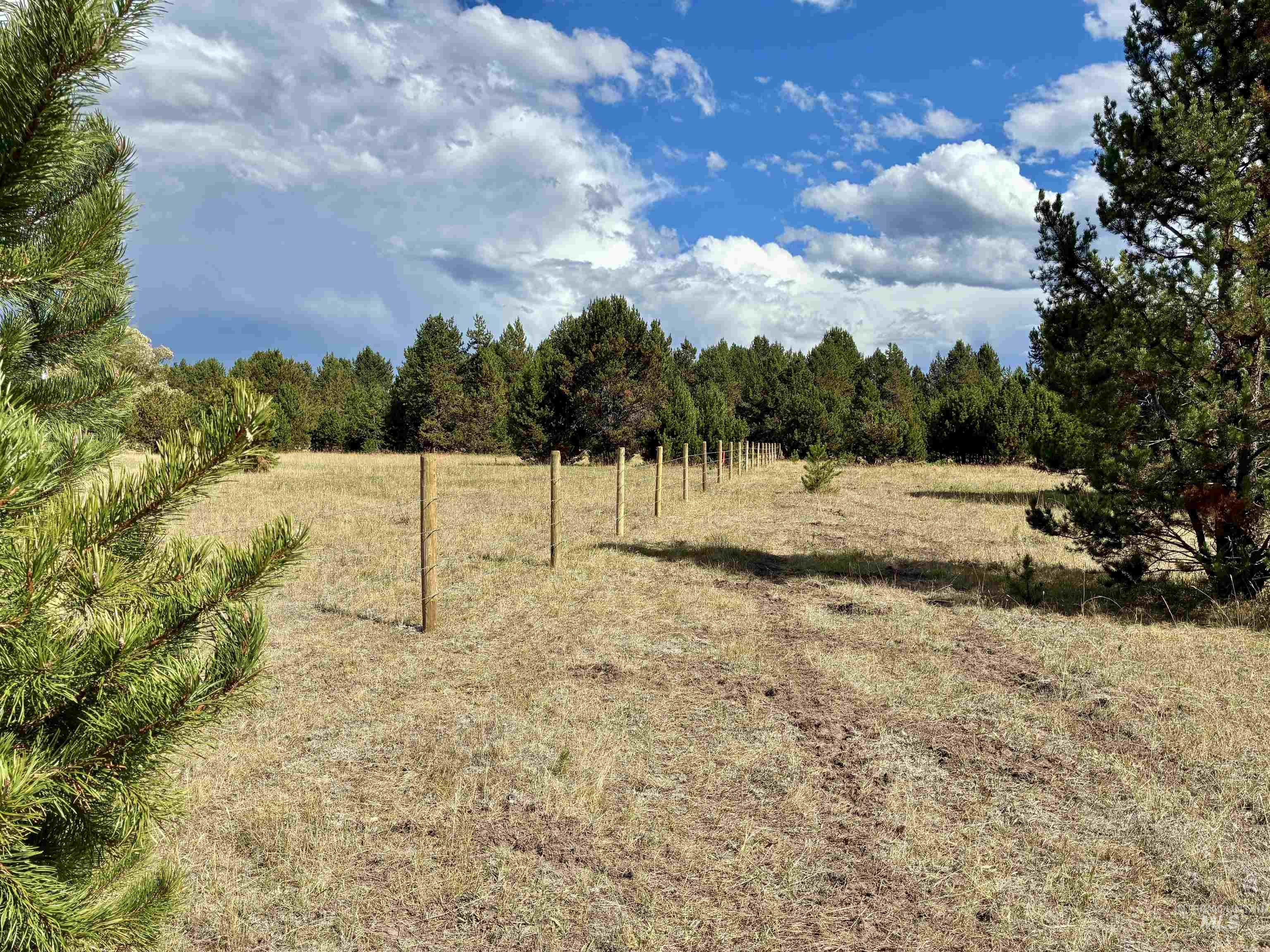 Tbd Highway 55 Property Photo 3