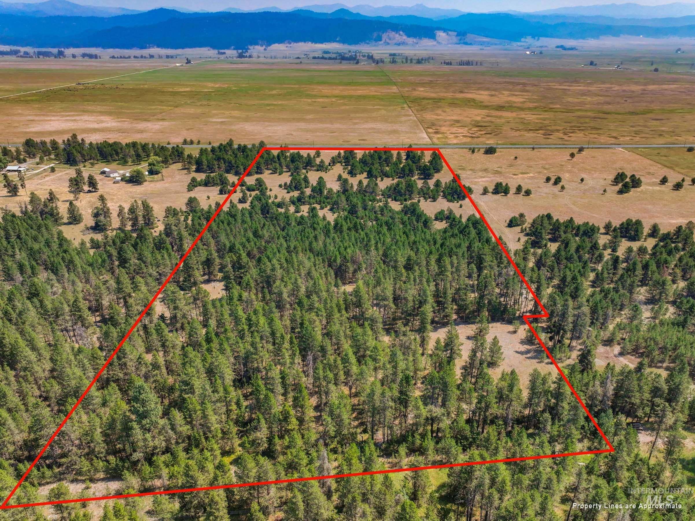 Tbd Highway 55 Property Photo 6