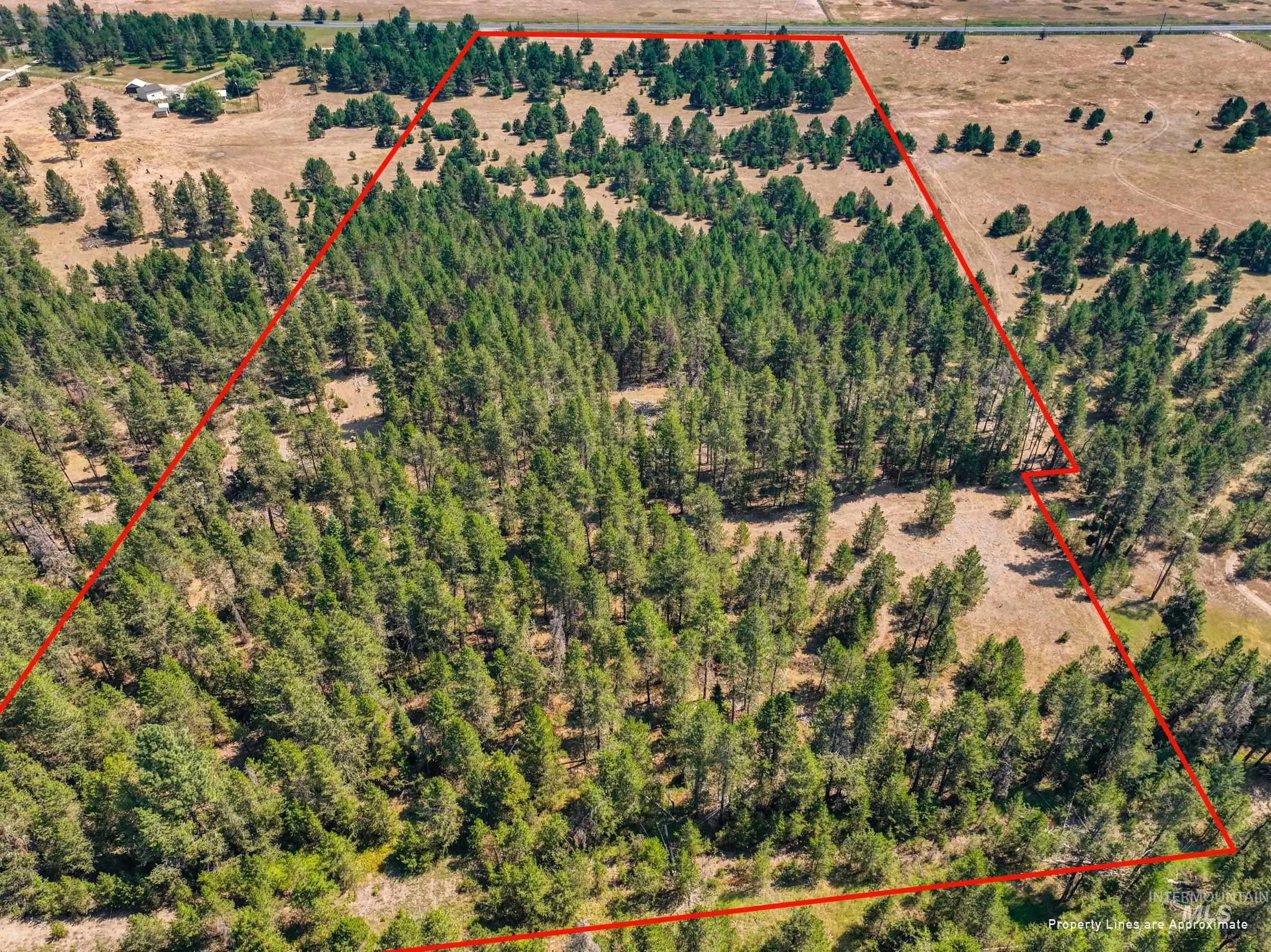Tbd Highway 55 Property Photo 7