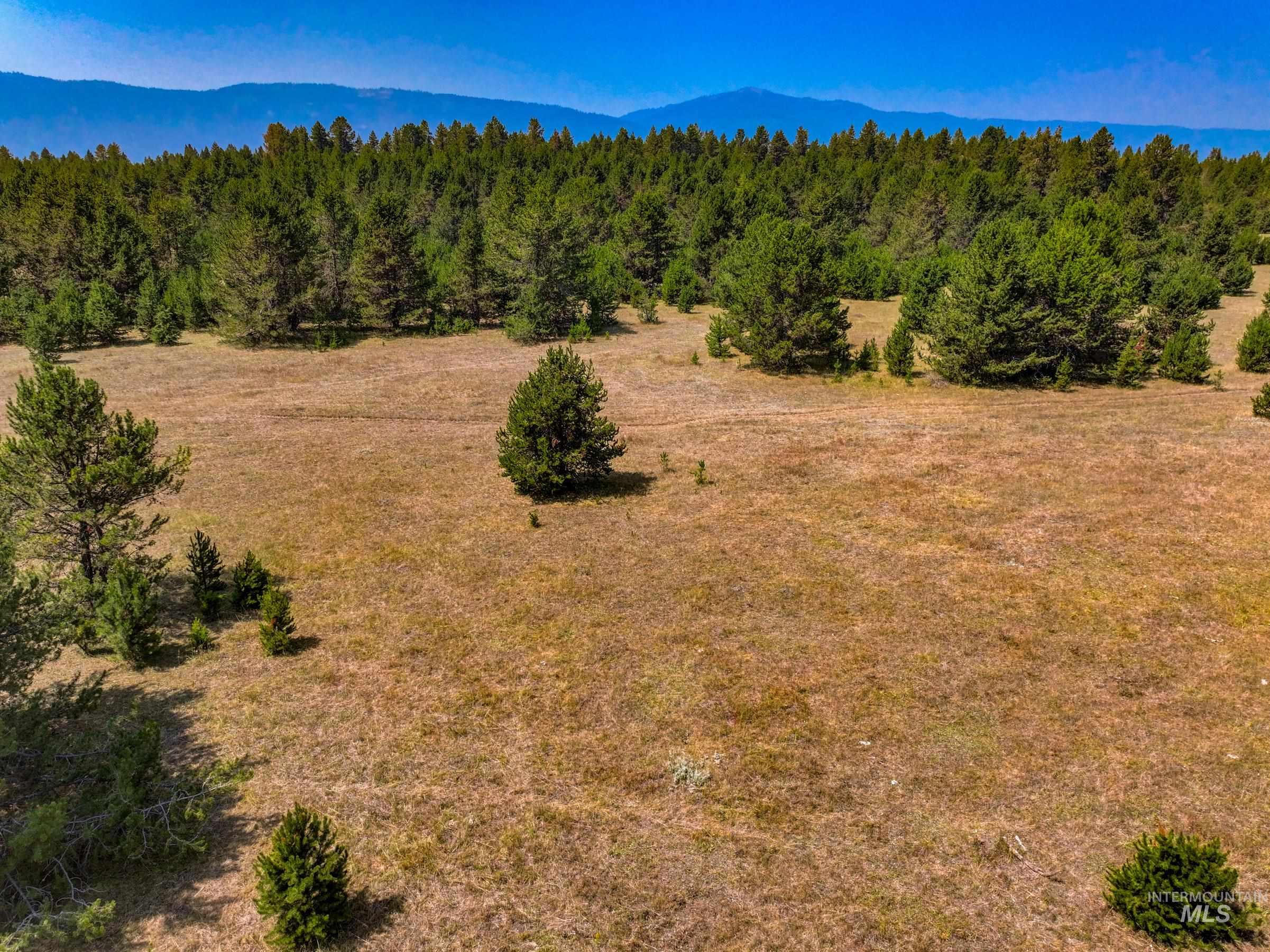 Tbd Highway 55 Property Photo 8