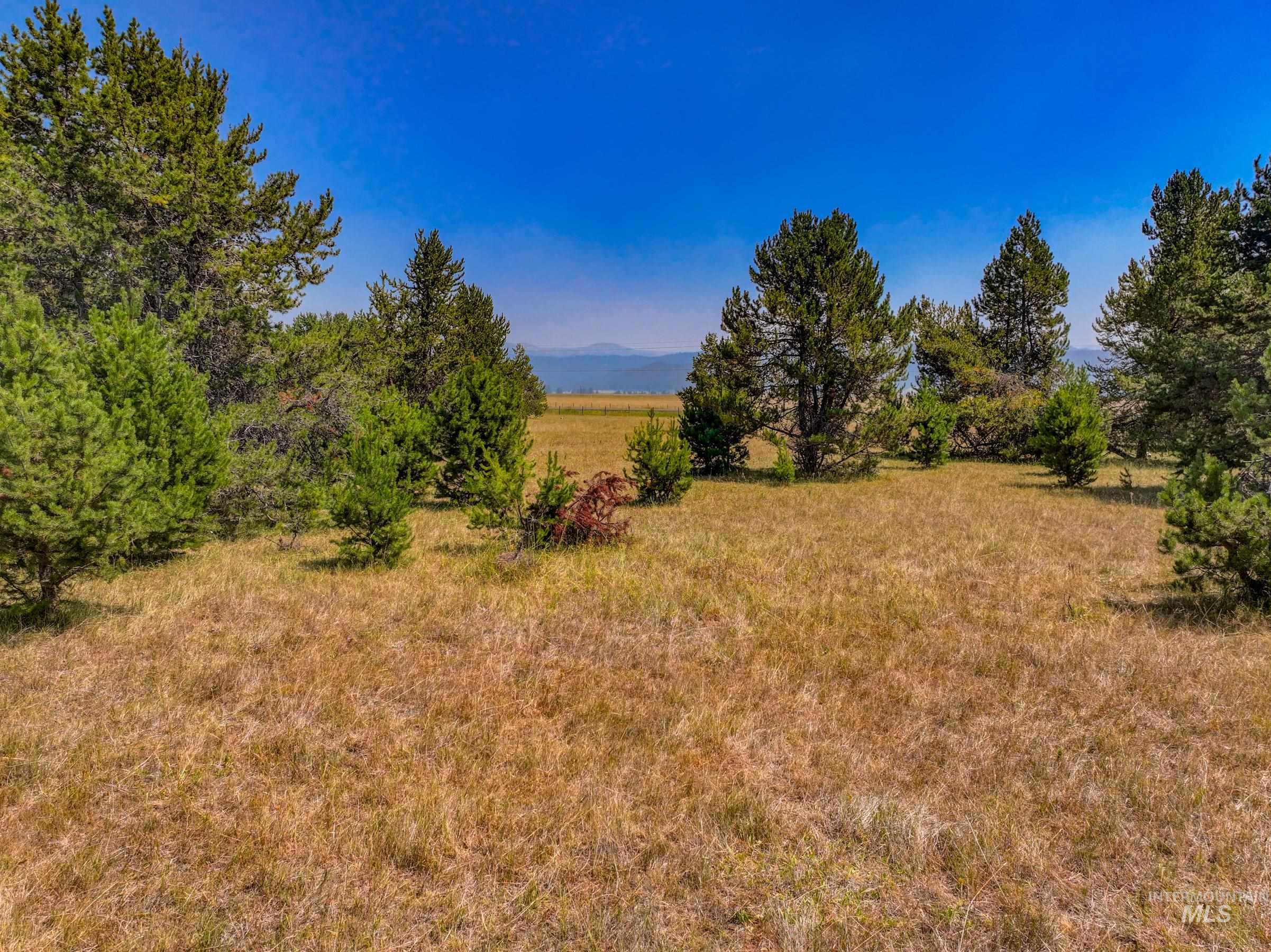 Tbd Highway 55 Property Photo 9
