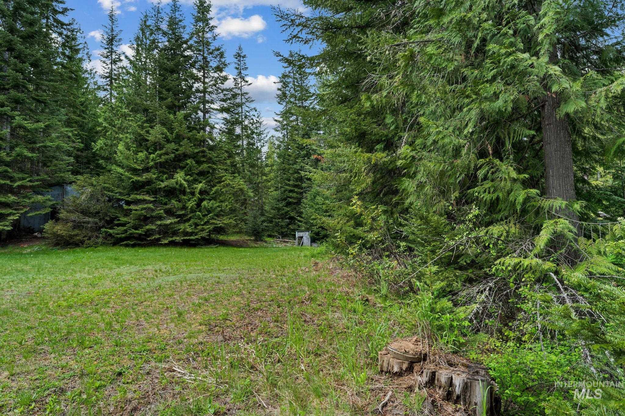 4715 Freeman Creek Rd Property Photo 40