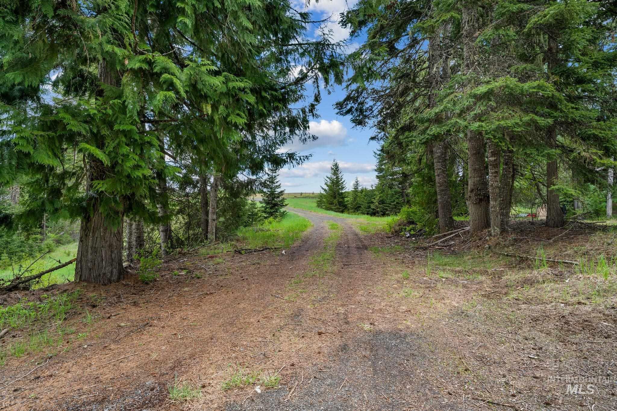 4715 Freeman Creek Rd Property Photo 44