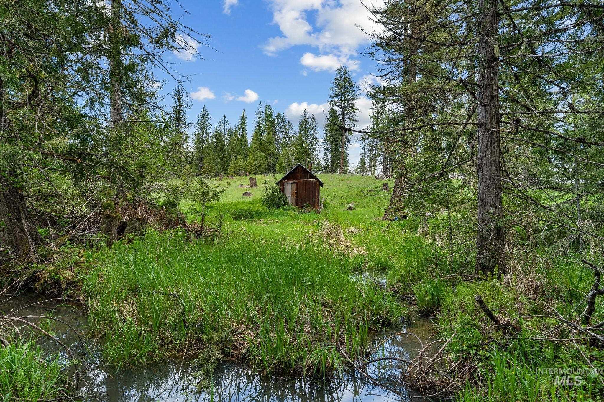 4715 Freeman Creek Rd Property Photo 45
