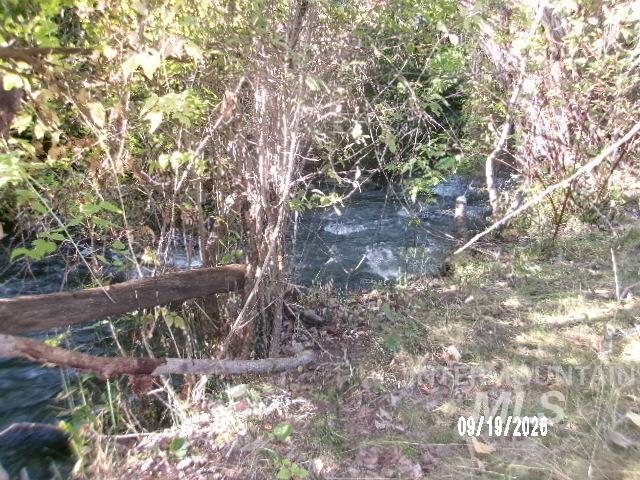 31997 Second Fork Road Property Photo 35