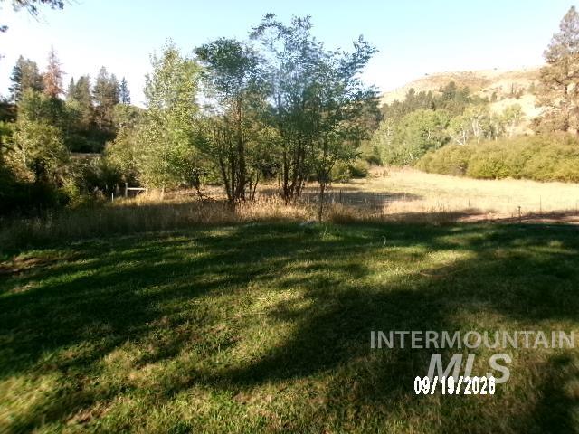 31997 Second Fork Road Property Photo 38