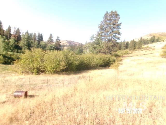 31997 Second Fork Road Property Photo 45