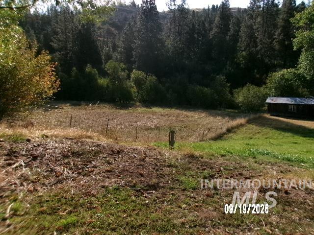 31997 Second Fork Road Property Photo 46