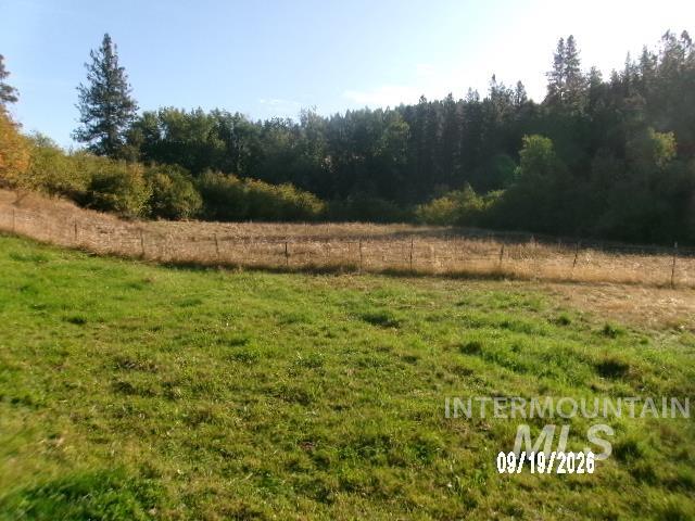 31997 Second Fork Road Property Photo 47