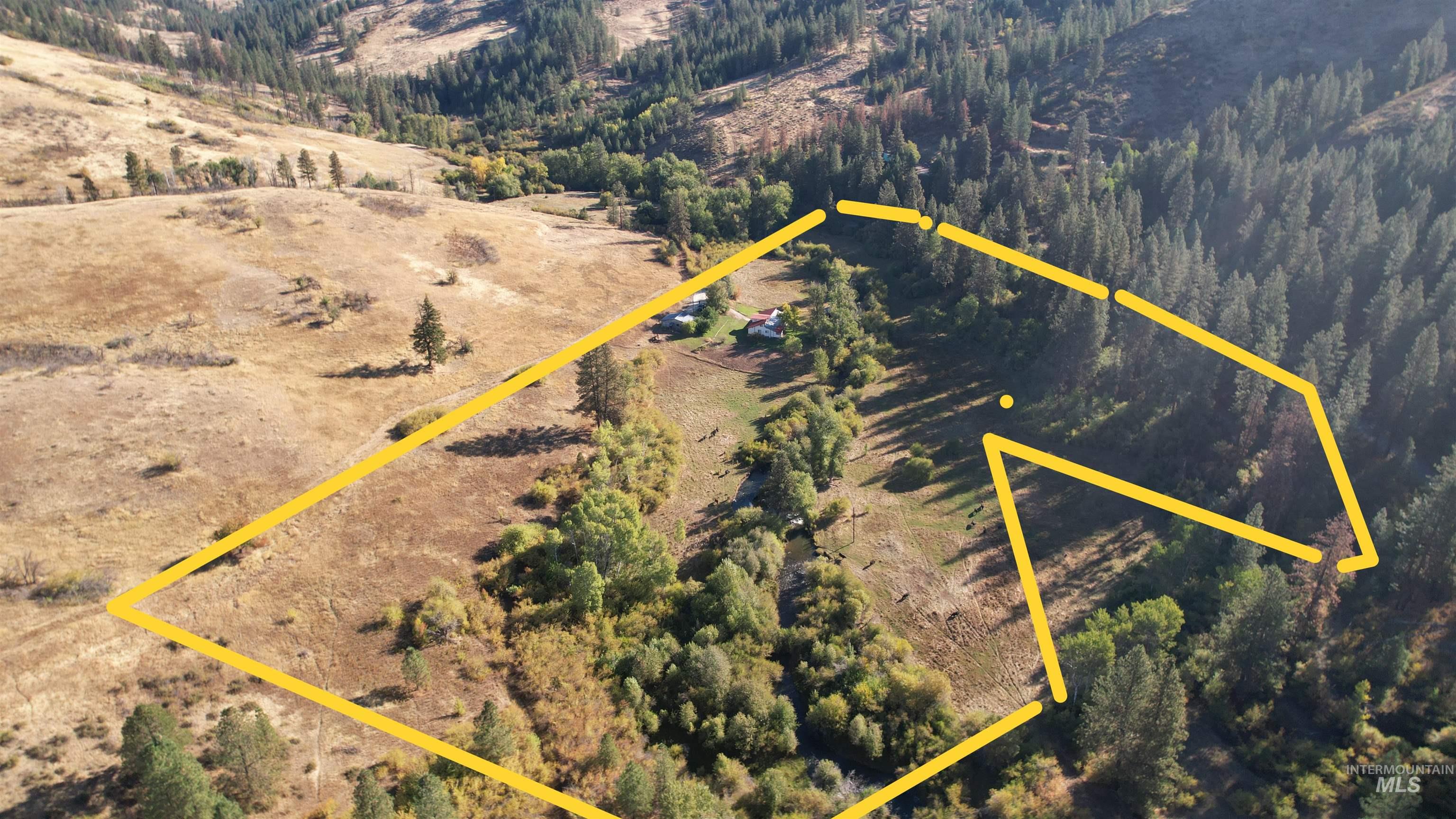 31997 Second Fork Road Property Photo 49