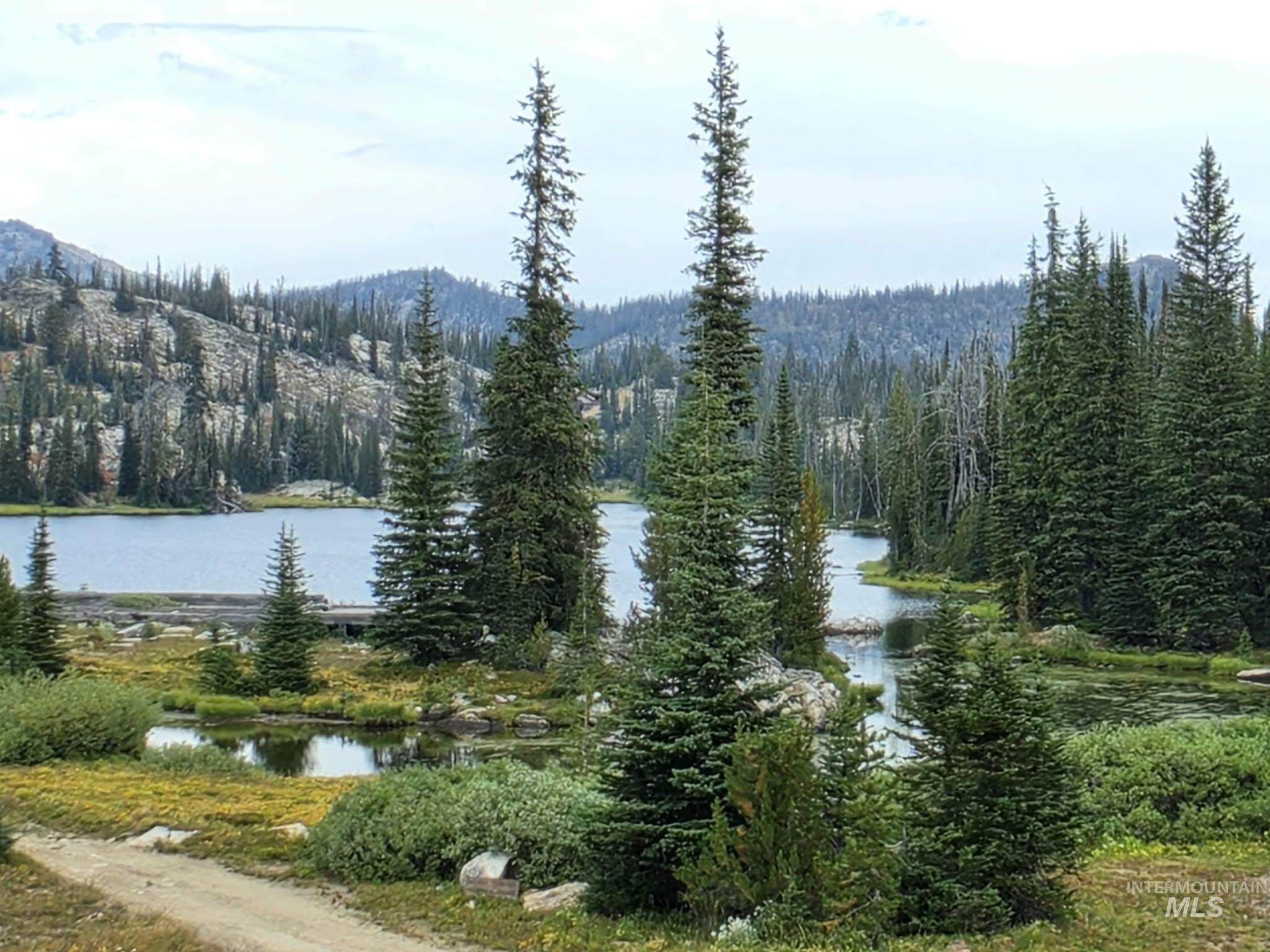 Tbd Hump Lake Lot 4 Property Photo 2