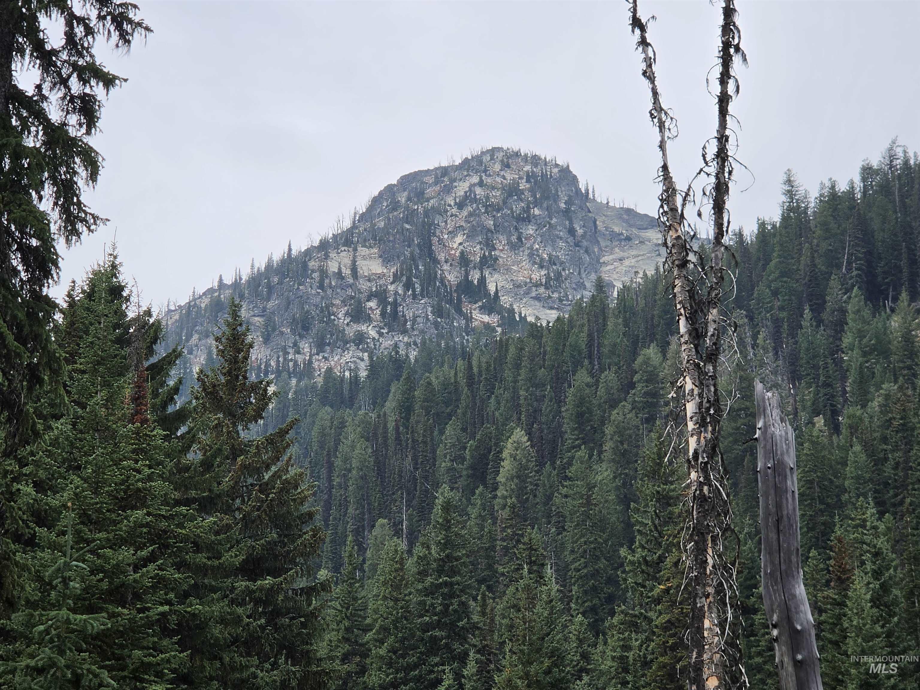 Tbd Hump Lake Lot 2 Property Photo 3