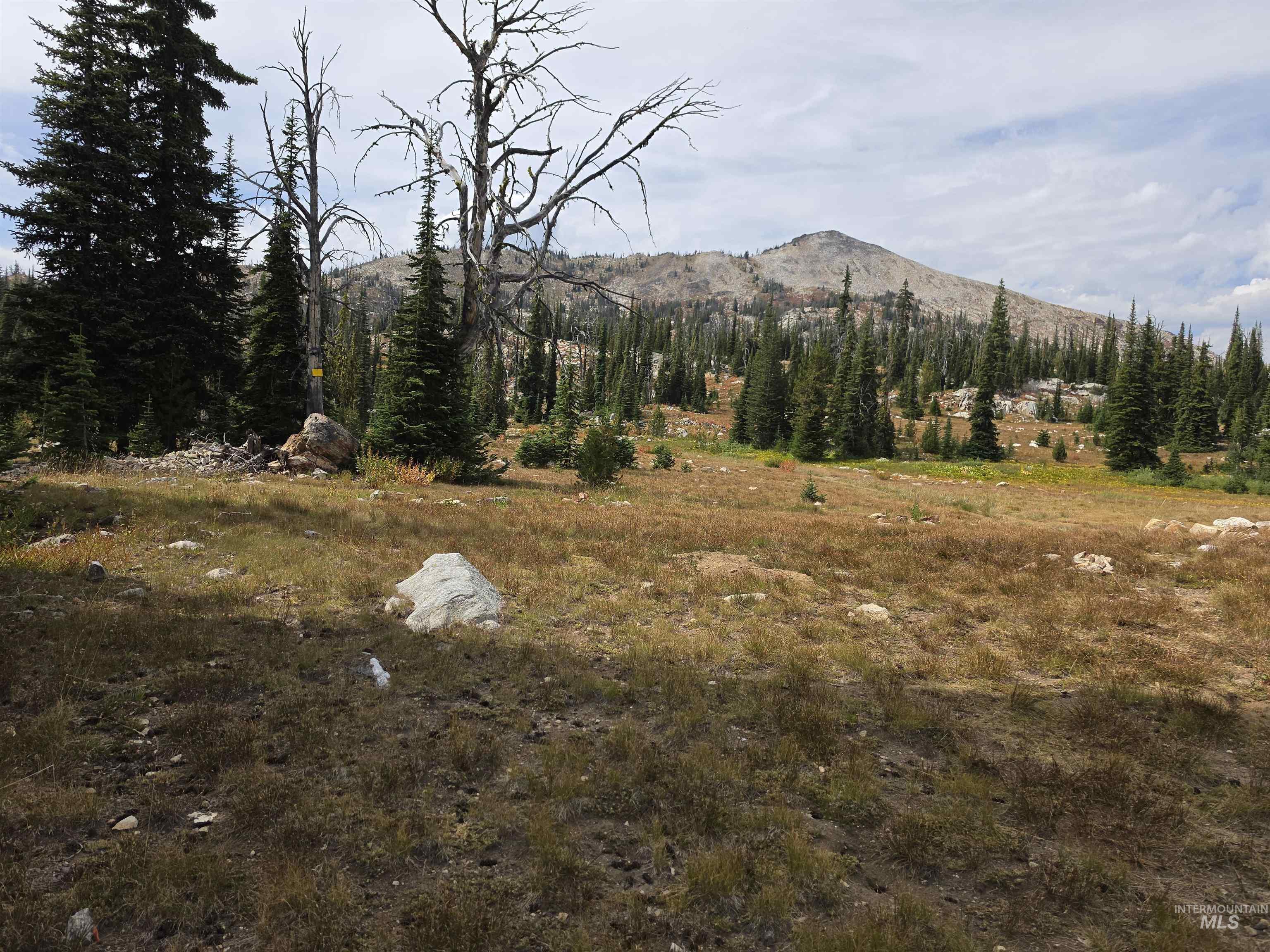 Tbd Hump Lake Lot 2 Property Photo 5