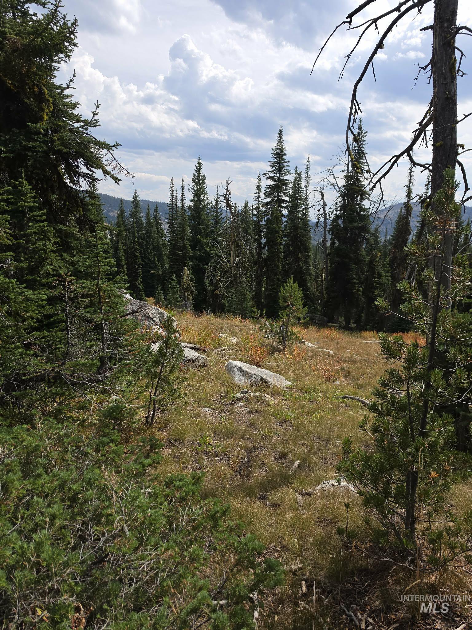 Tbd Hump Lake Lot 3 Property Photo 2