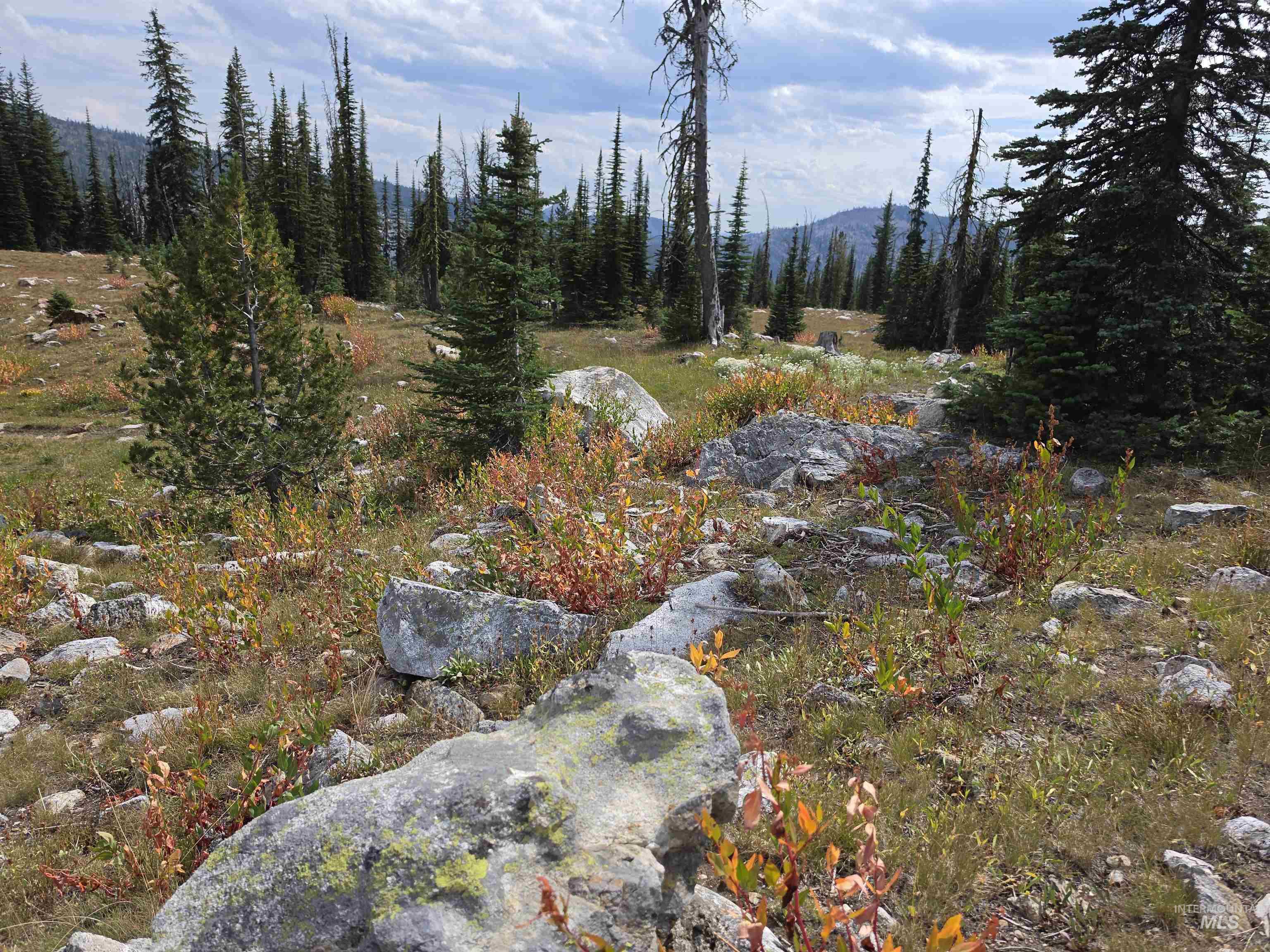 Tbd Hump Lake Lot 3 Property Photo 4