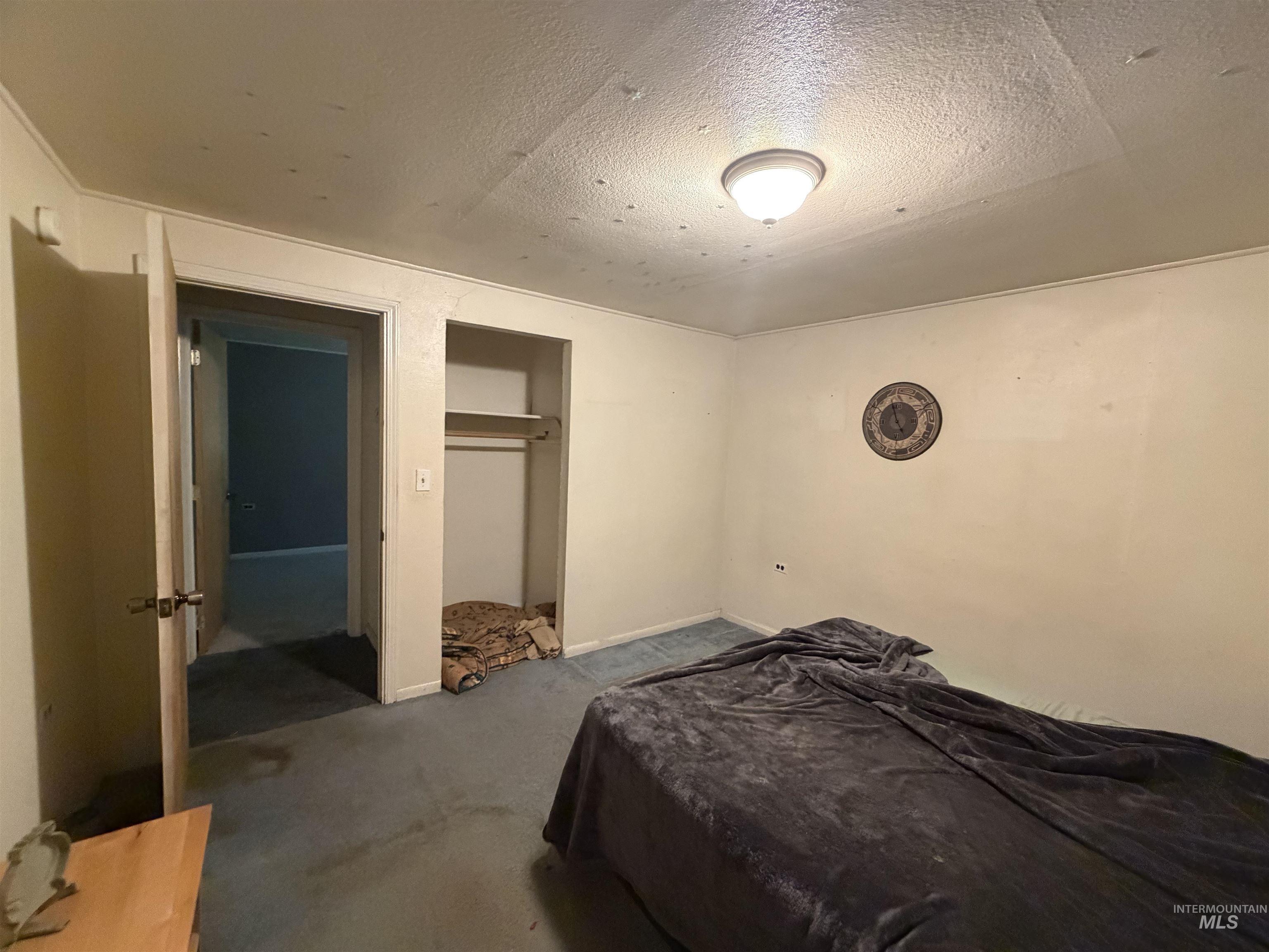 1317 Ash Street Property Photo 20