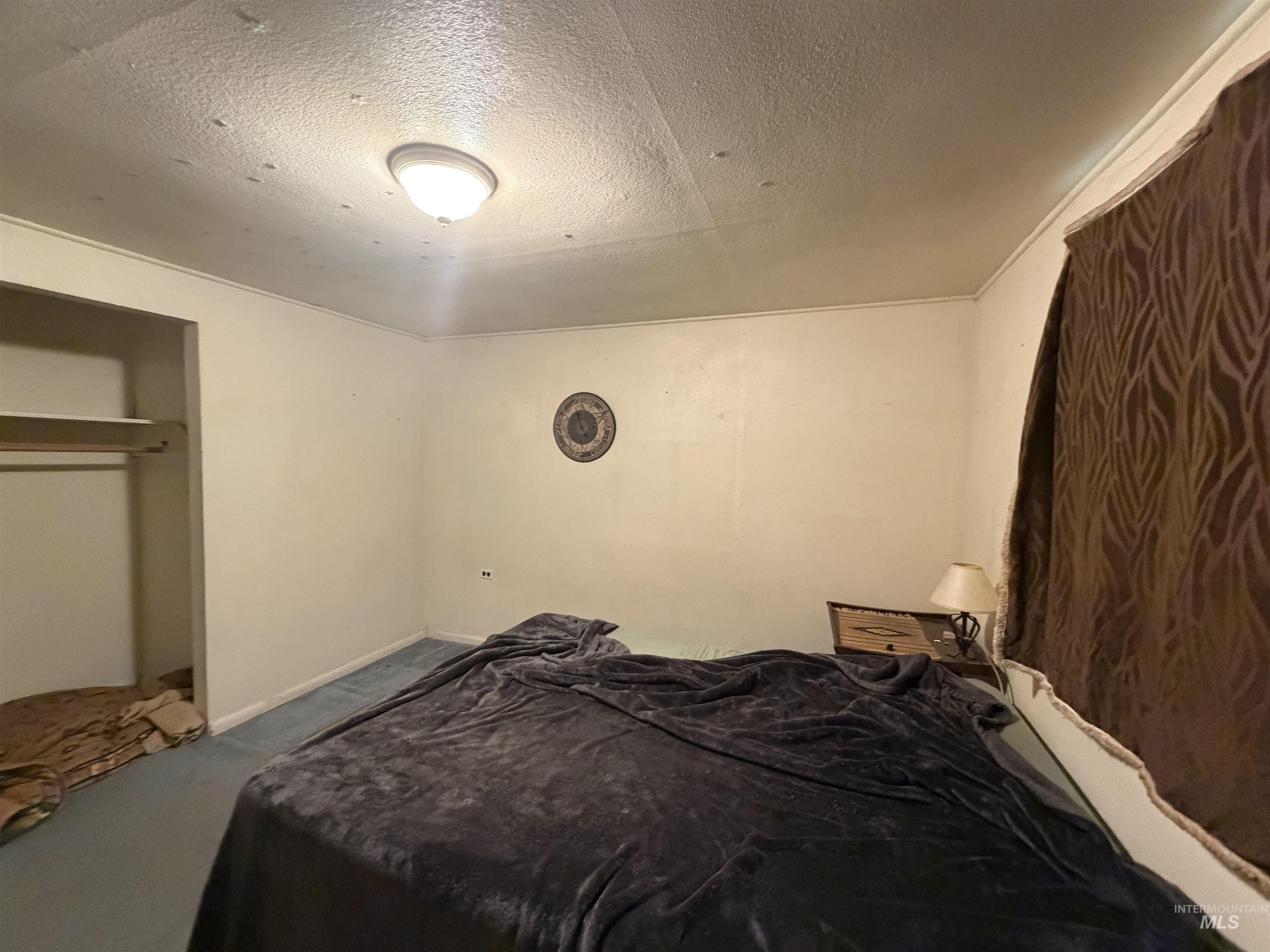 1317 Ash Street Property Photo 21