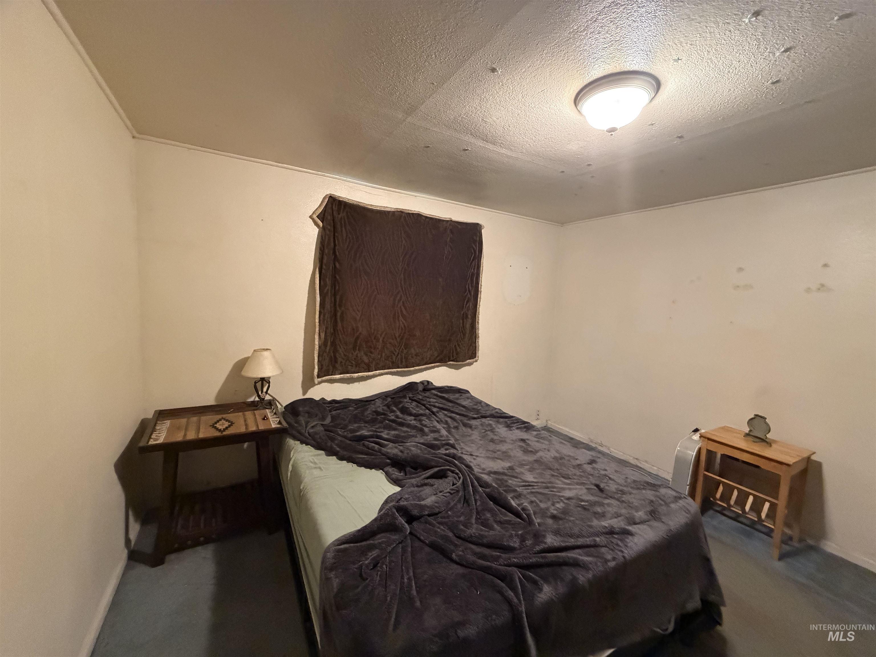 1317 Ash Street Property Photo 22