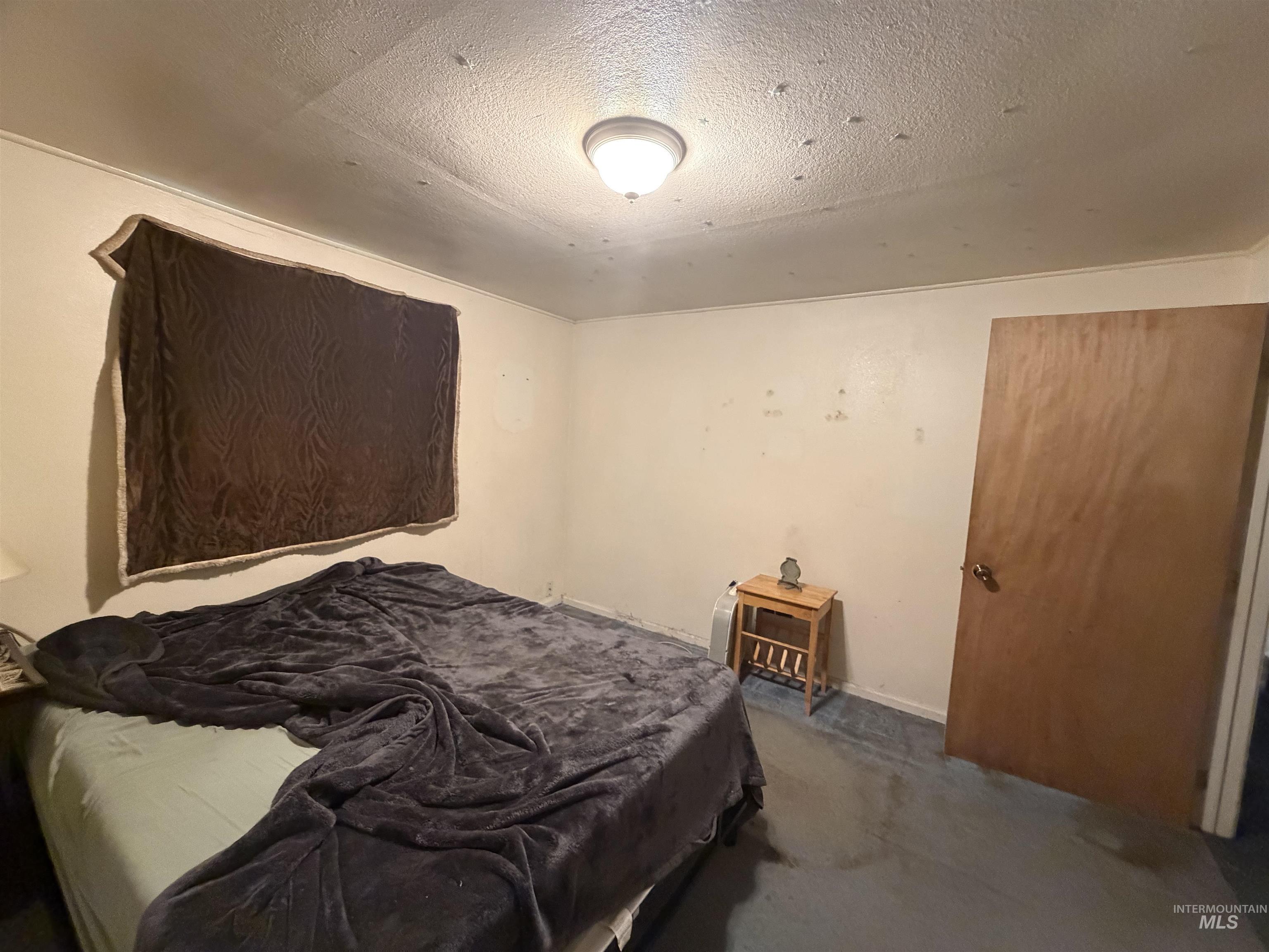 1317 Ash Street Property Photo 23