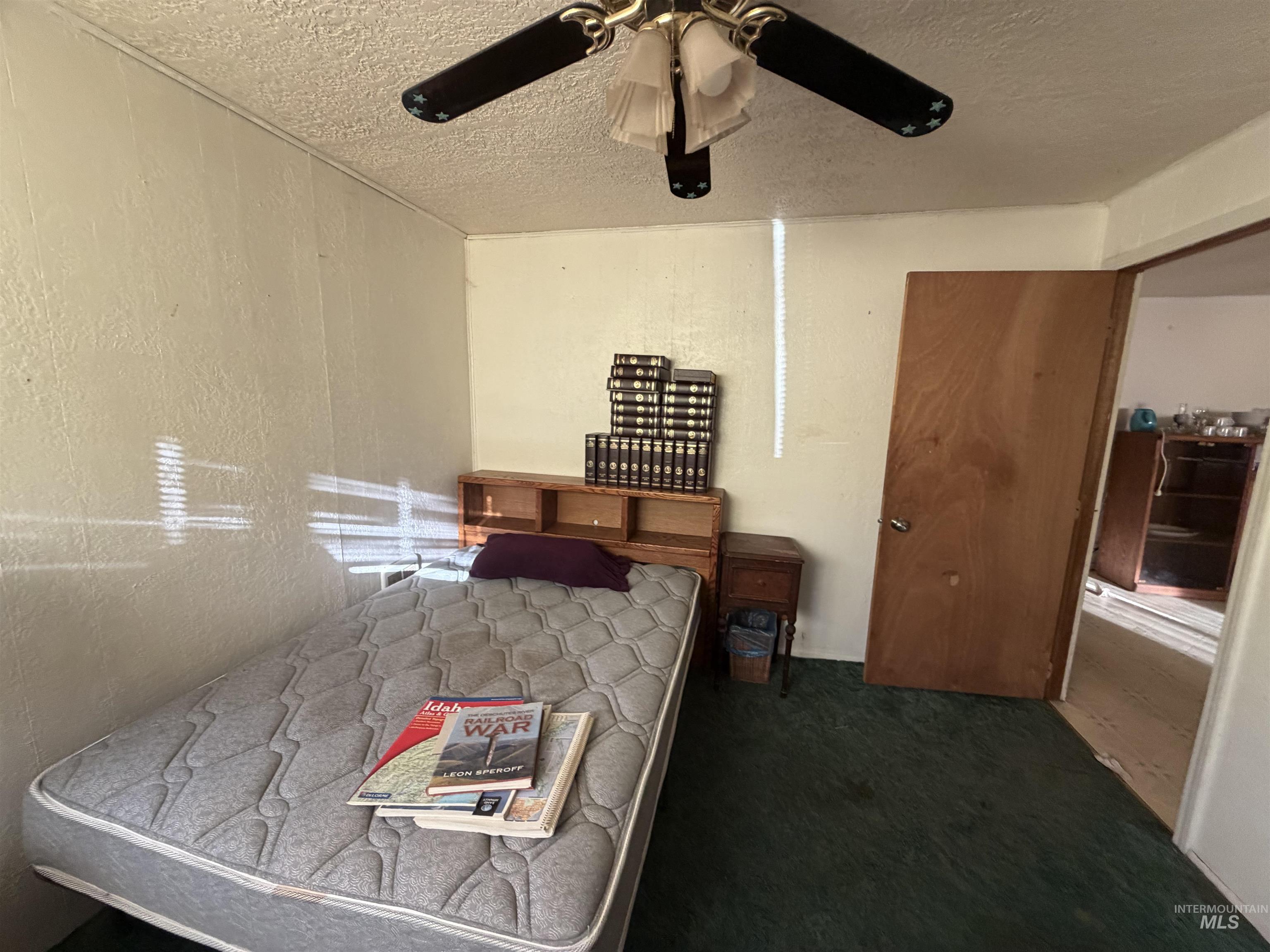 1317 Ash Street Property Photo 39