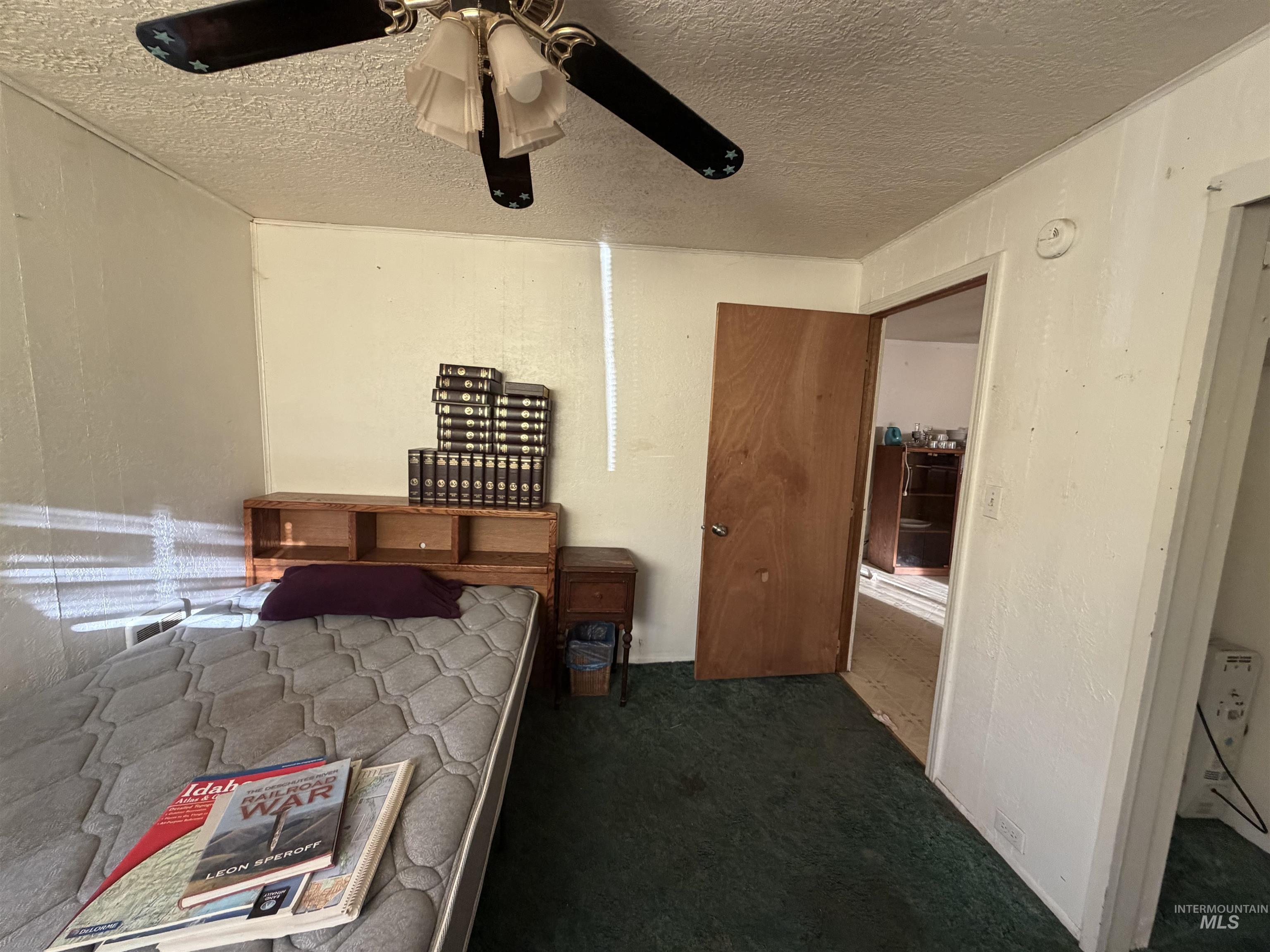 1317 Ash Street Property Photo 40