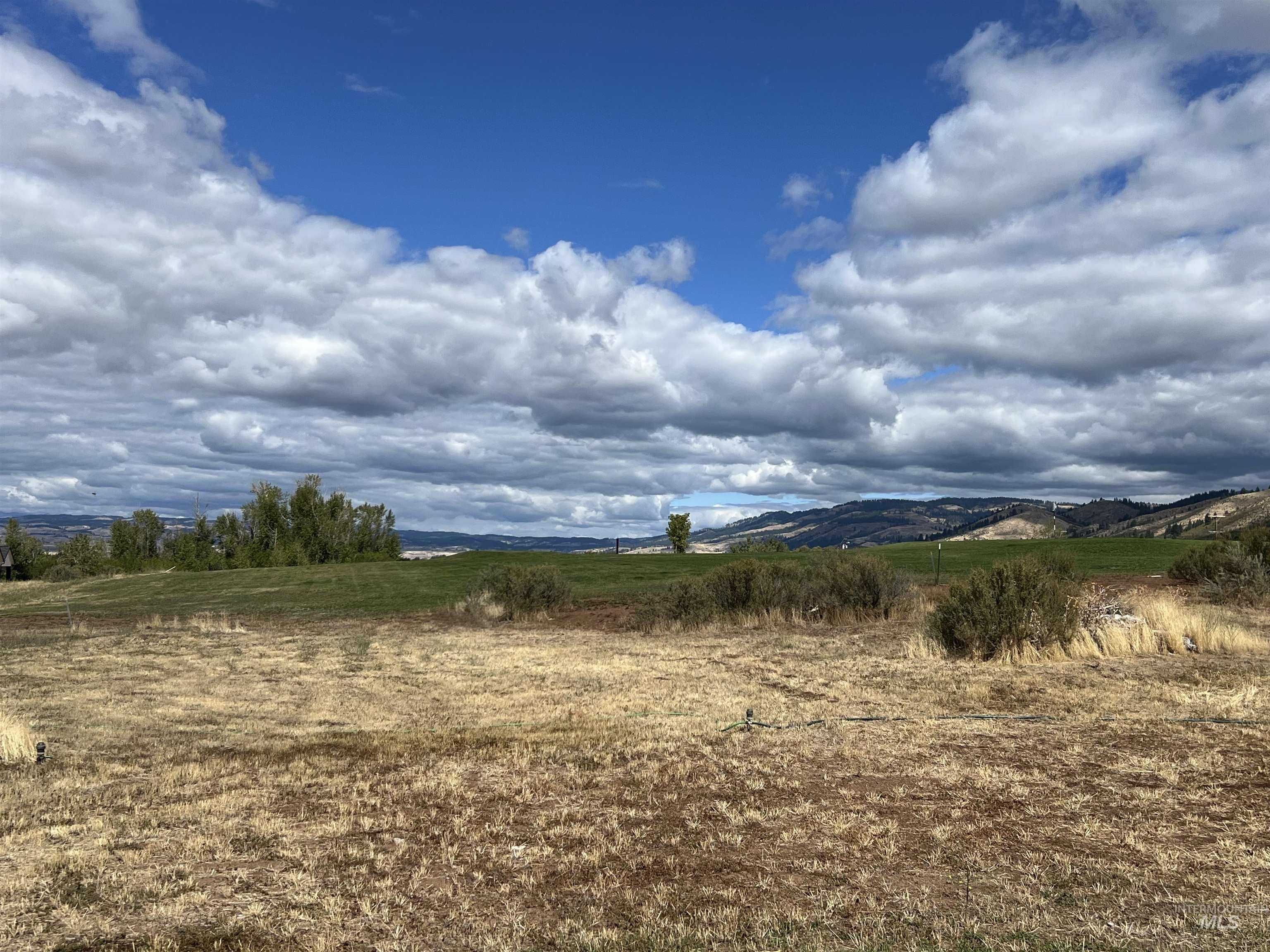 2300 Golf Property Photo 9