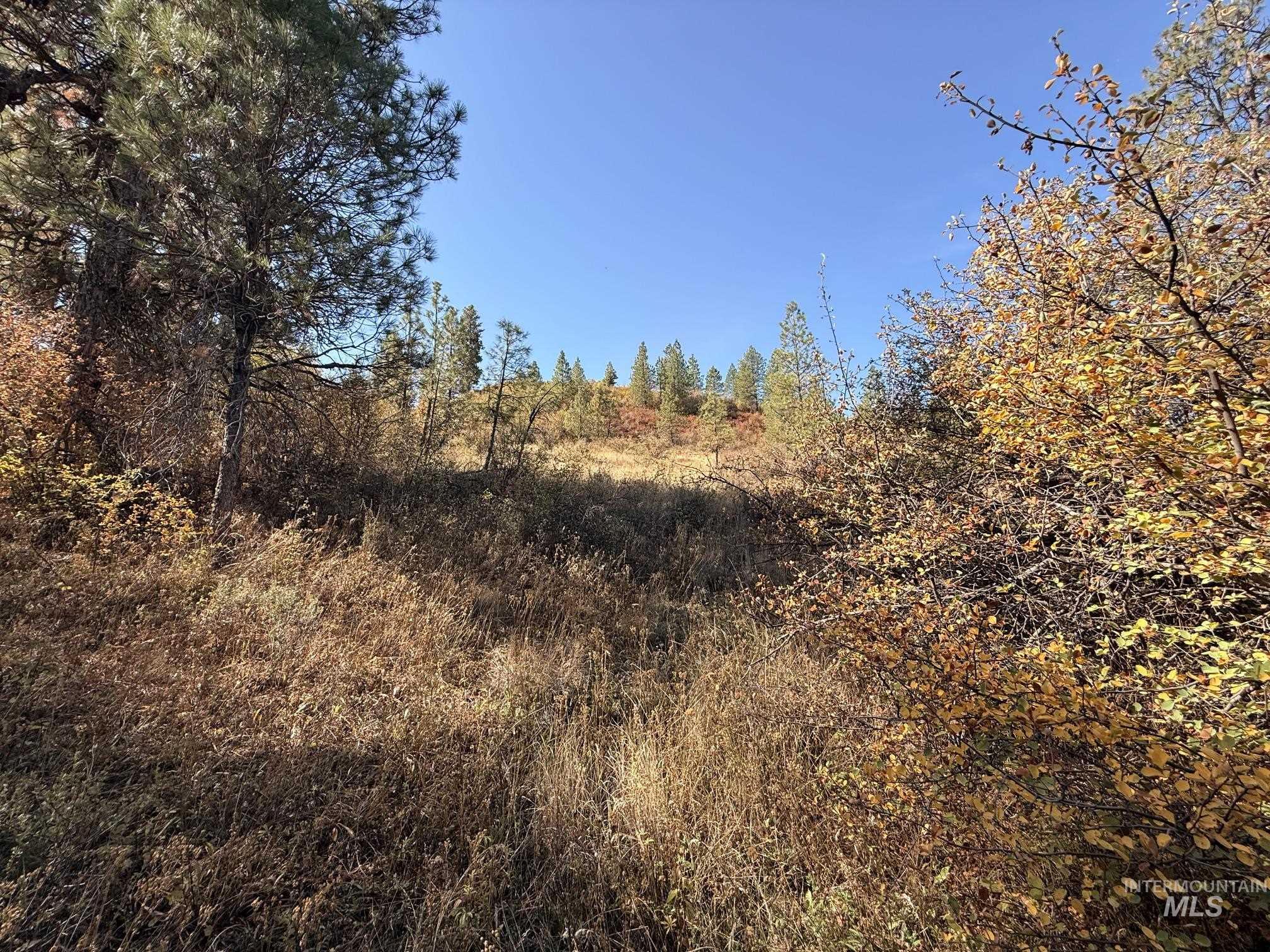 Tbd Lot 5 And 6 Nesbitts' Emerald Glen Property Photo 16