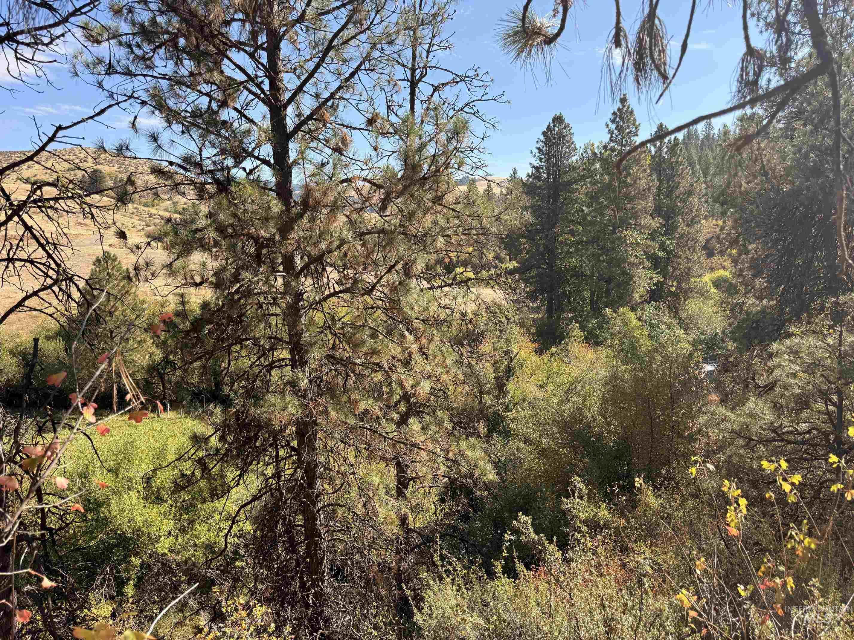 Tbd Lot 5 And 6 Nesbitts' Emerald Glen Property Photo 18
