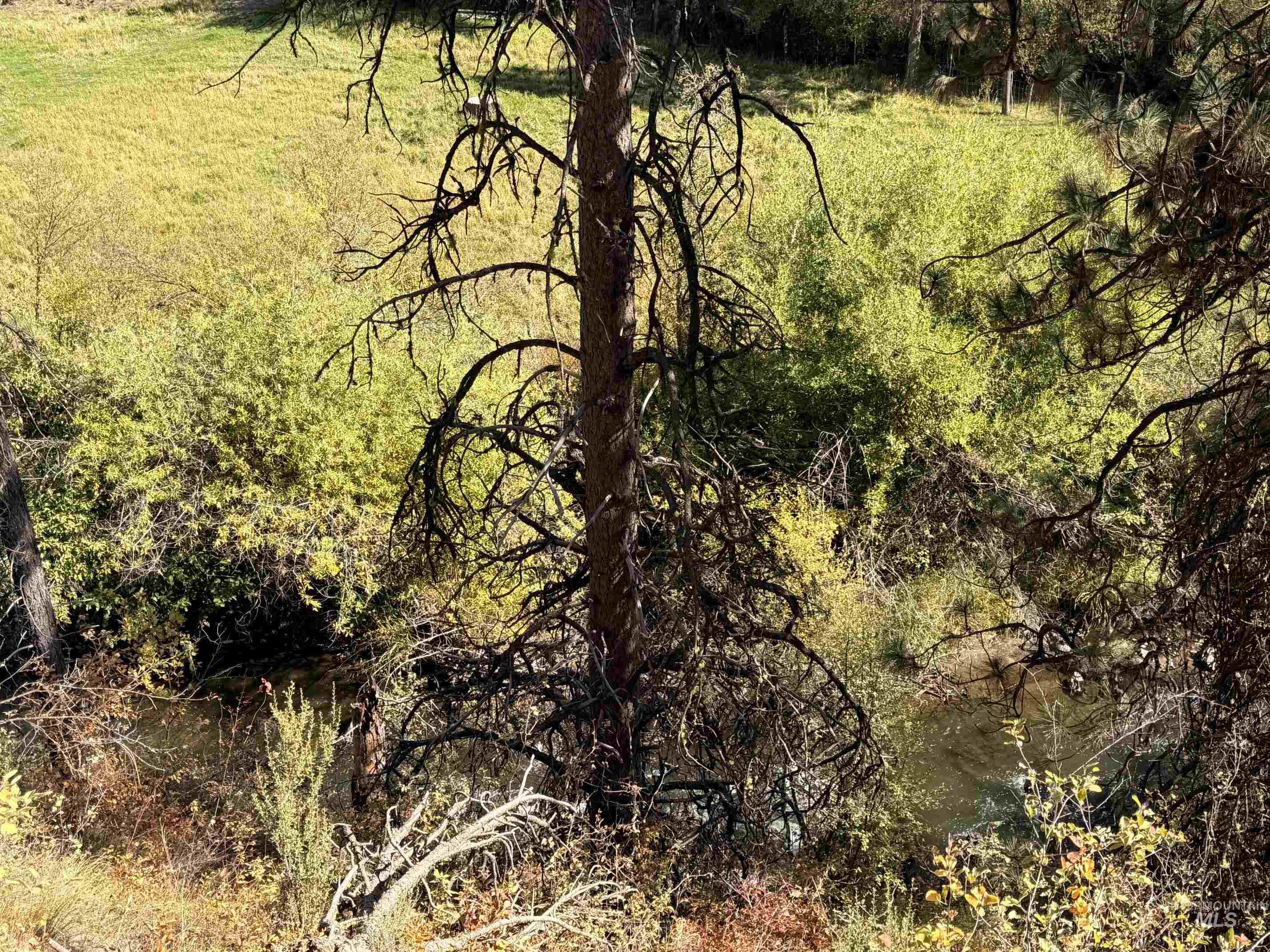 Tbd Lot 5 And 6 Nesbitts' Emerald Glen Property Photo 19