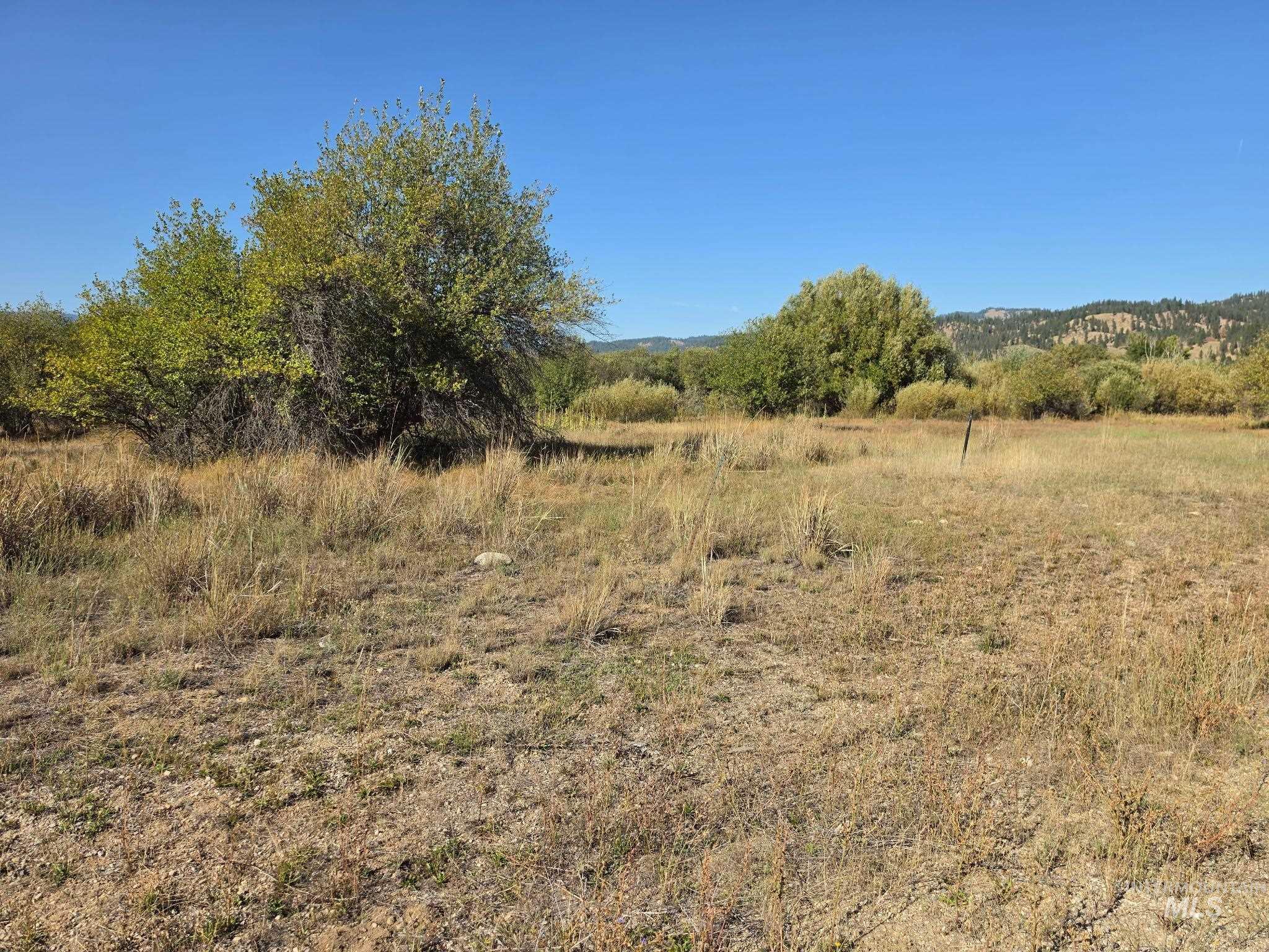 62 Wapiti Ct Property Photo 6