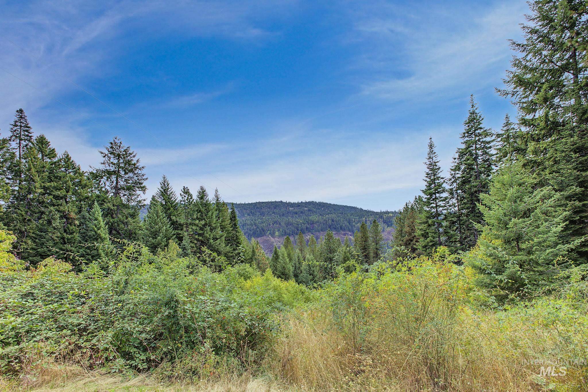 2926 Wells Bench Road Property Photo 45