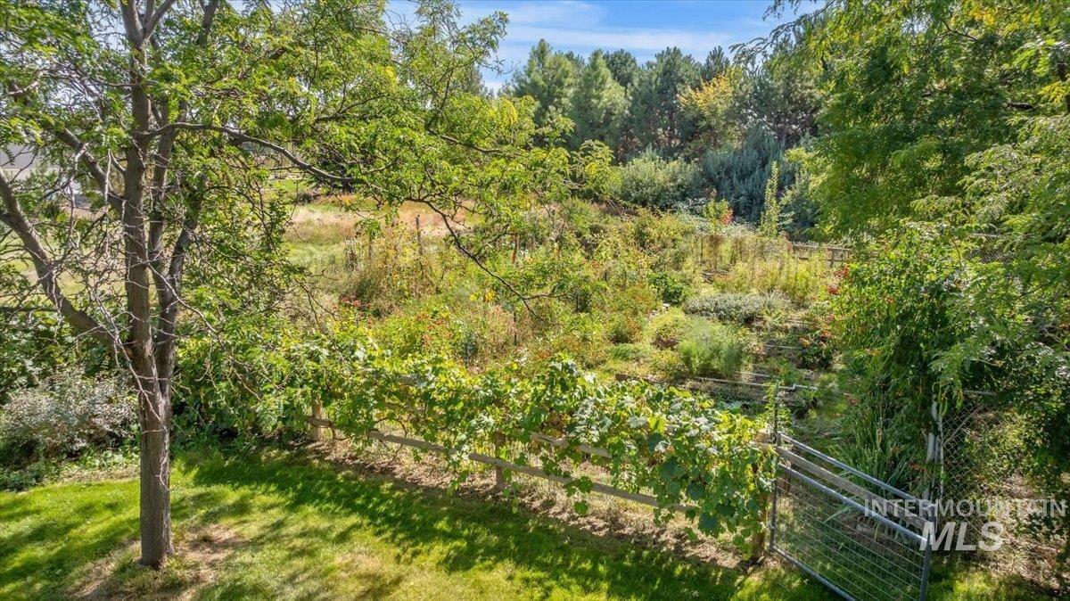 9940 Aztlan Dr Property Photo 33