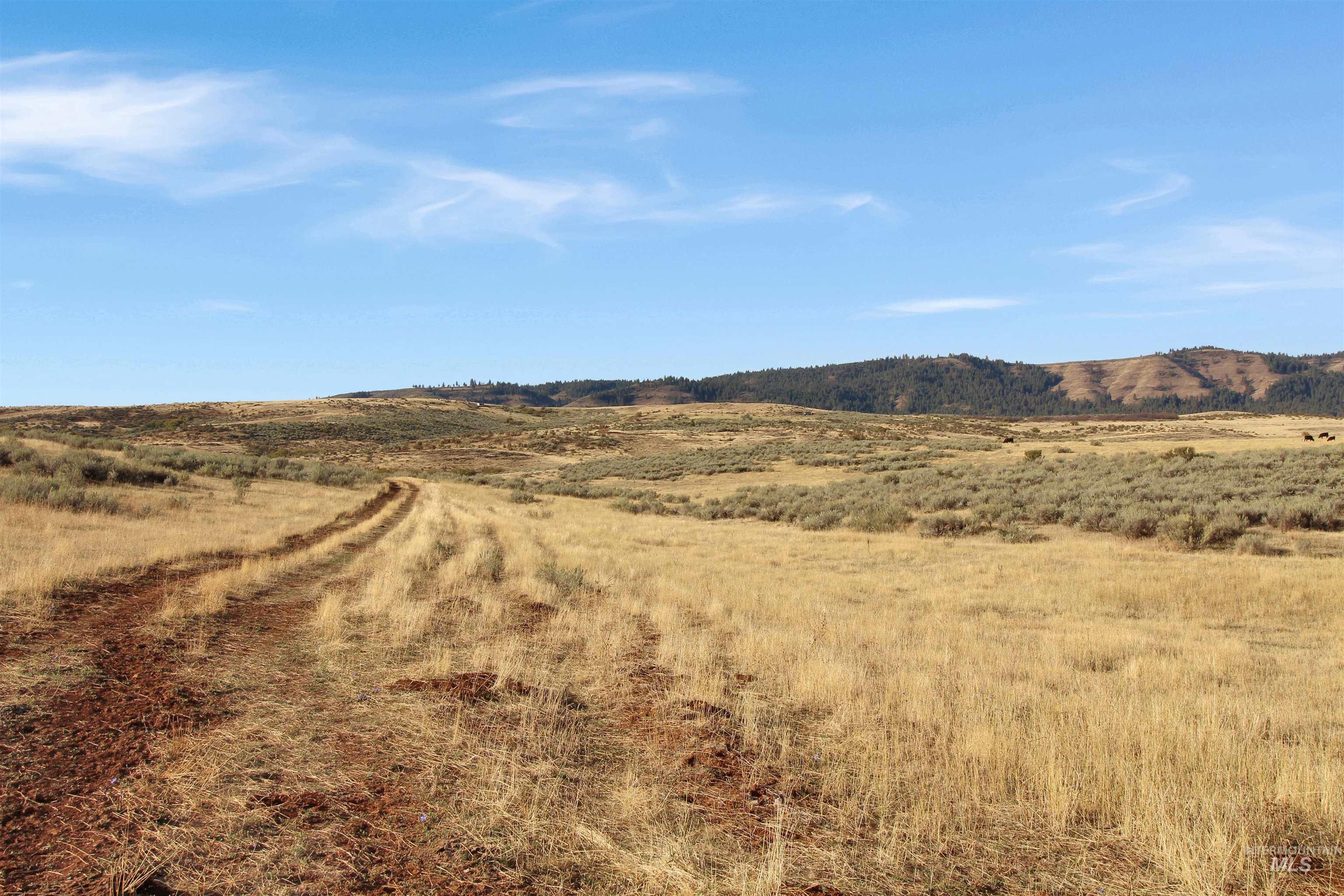 Tbd Airport Rd. Property Photo 7