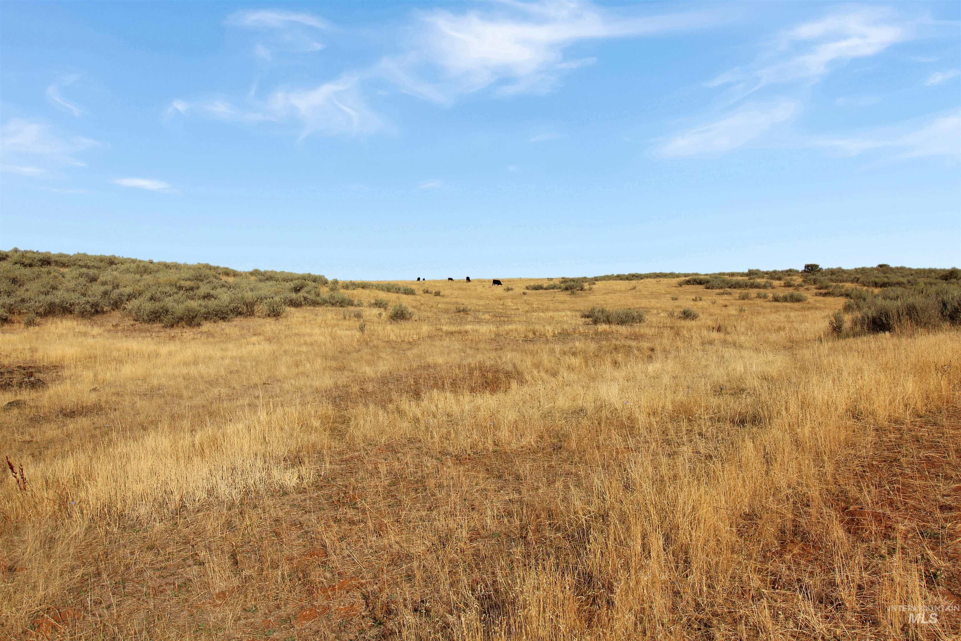 Tbd Airport Rd. Property Photo 12