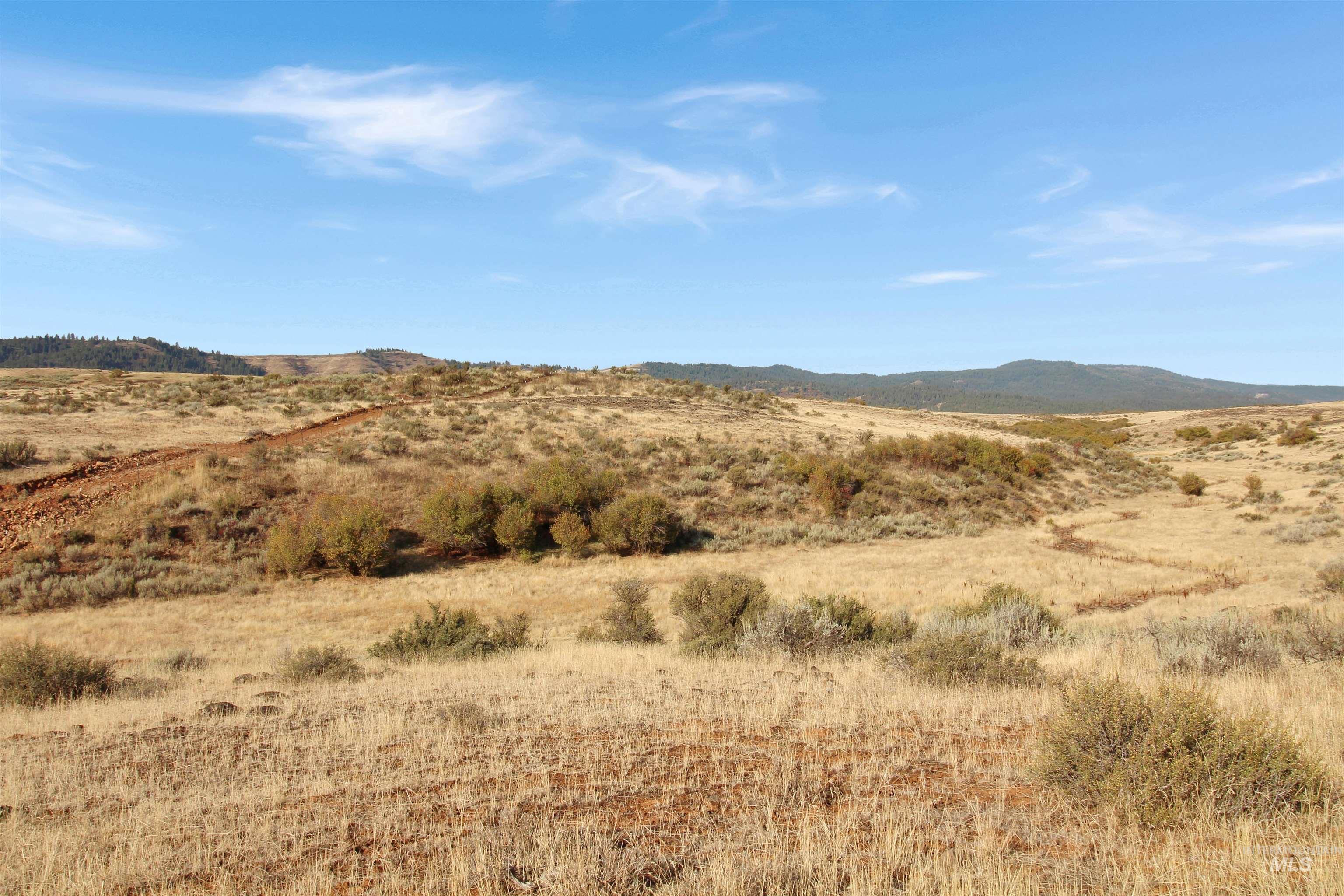 Tbd Airport Rd. Property Photo 14