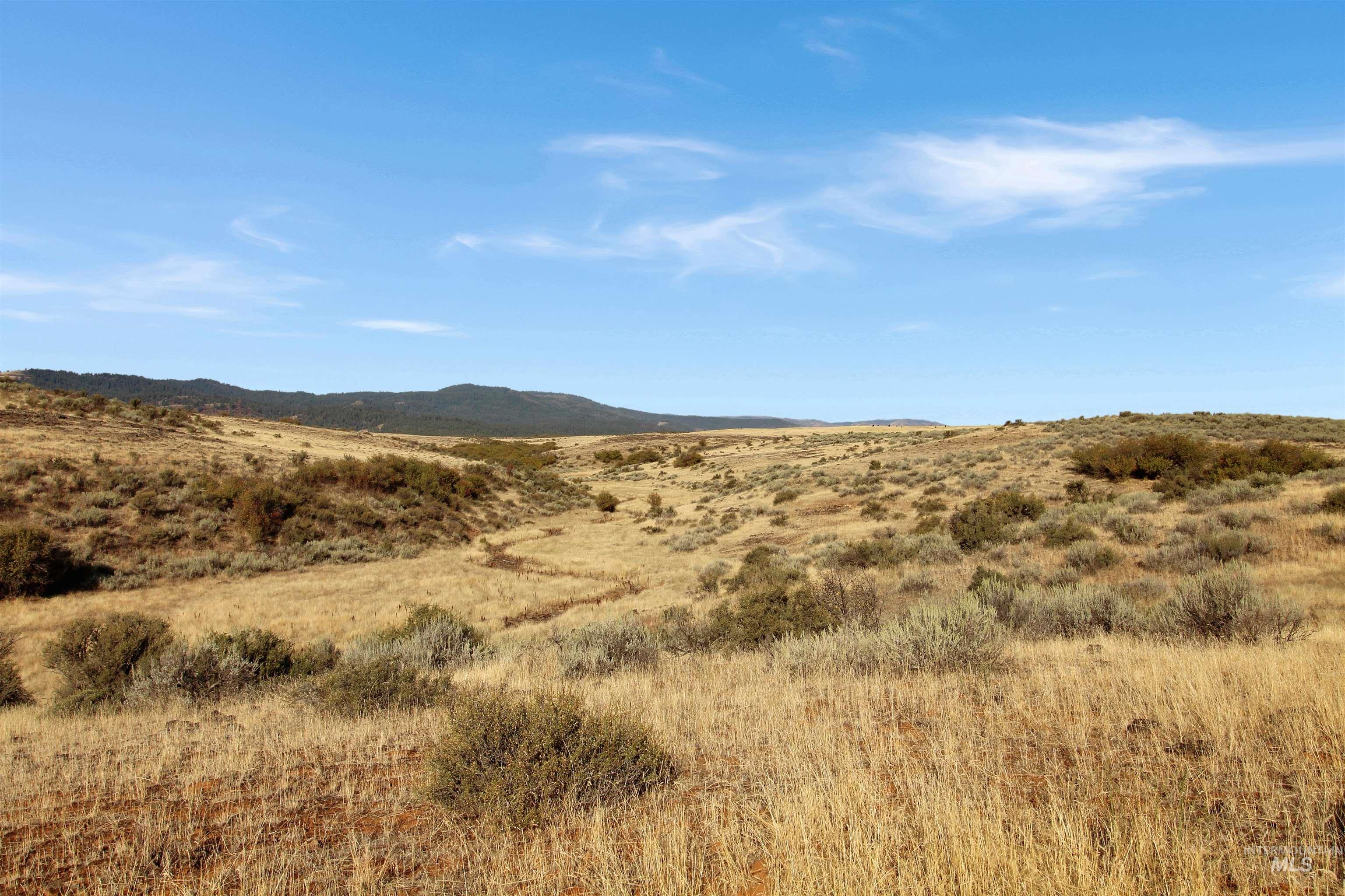 Tbd Airport Rd. Property Photo 15