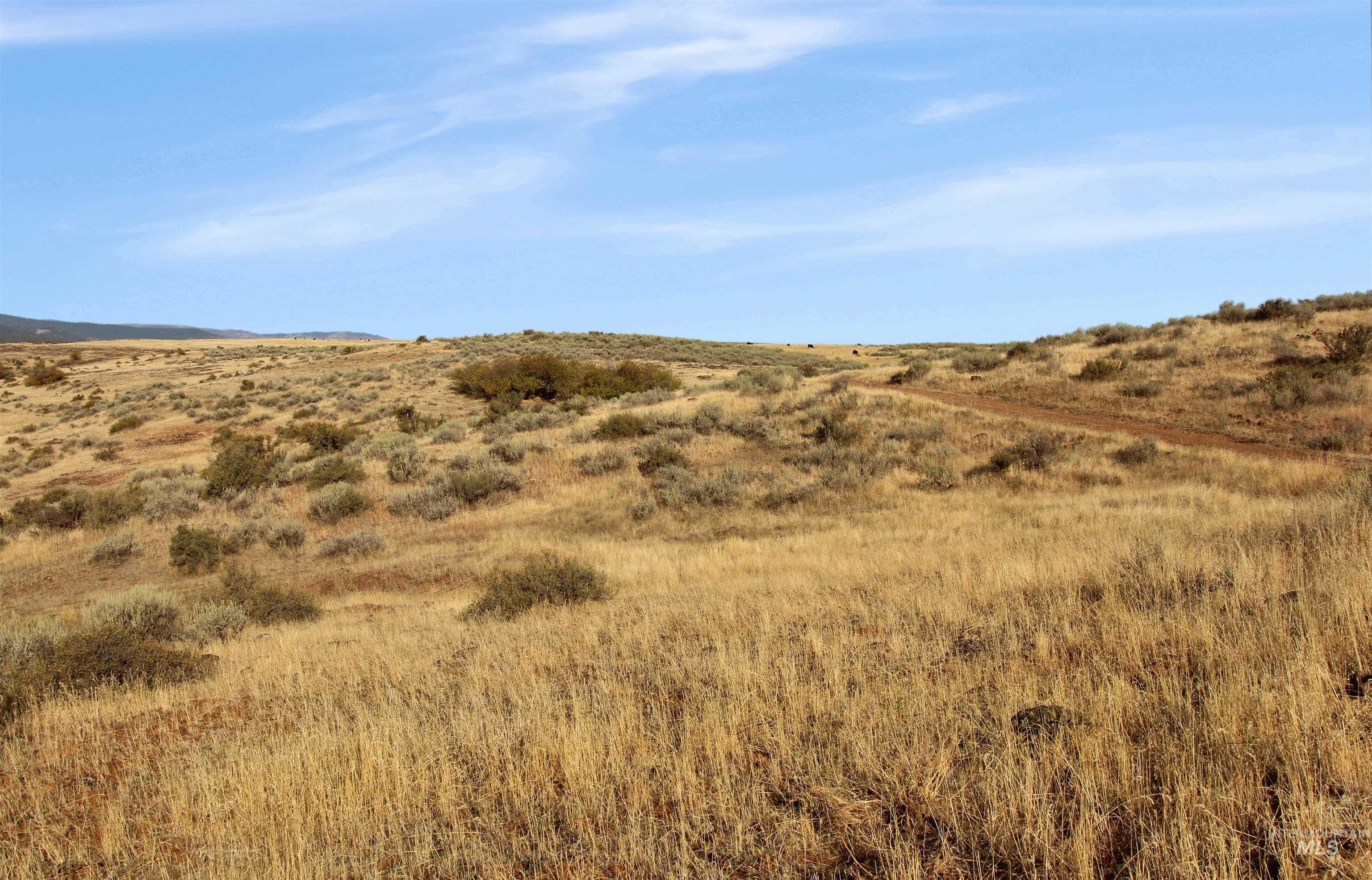 Tbd Airport Rd. Property Photo 16