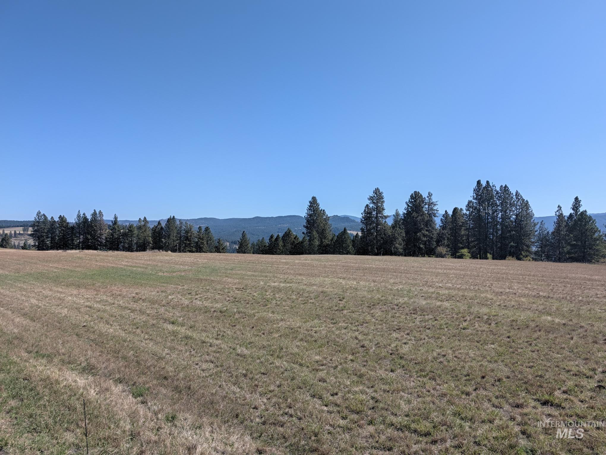 1249 Battle Ridge Road Property Photo 4