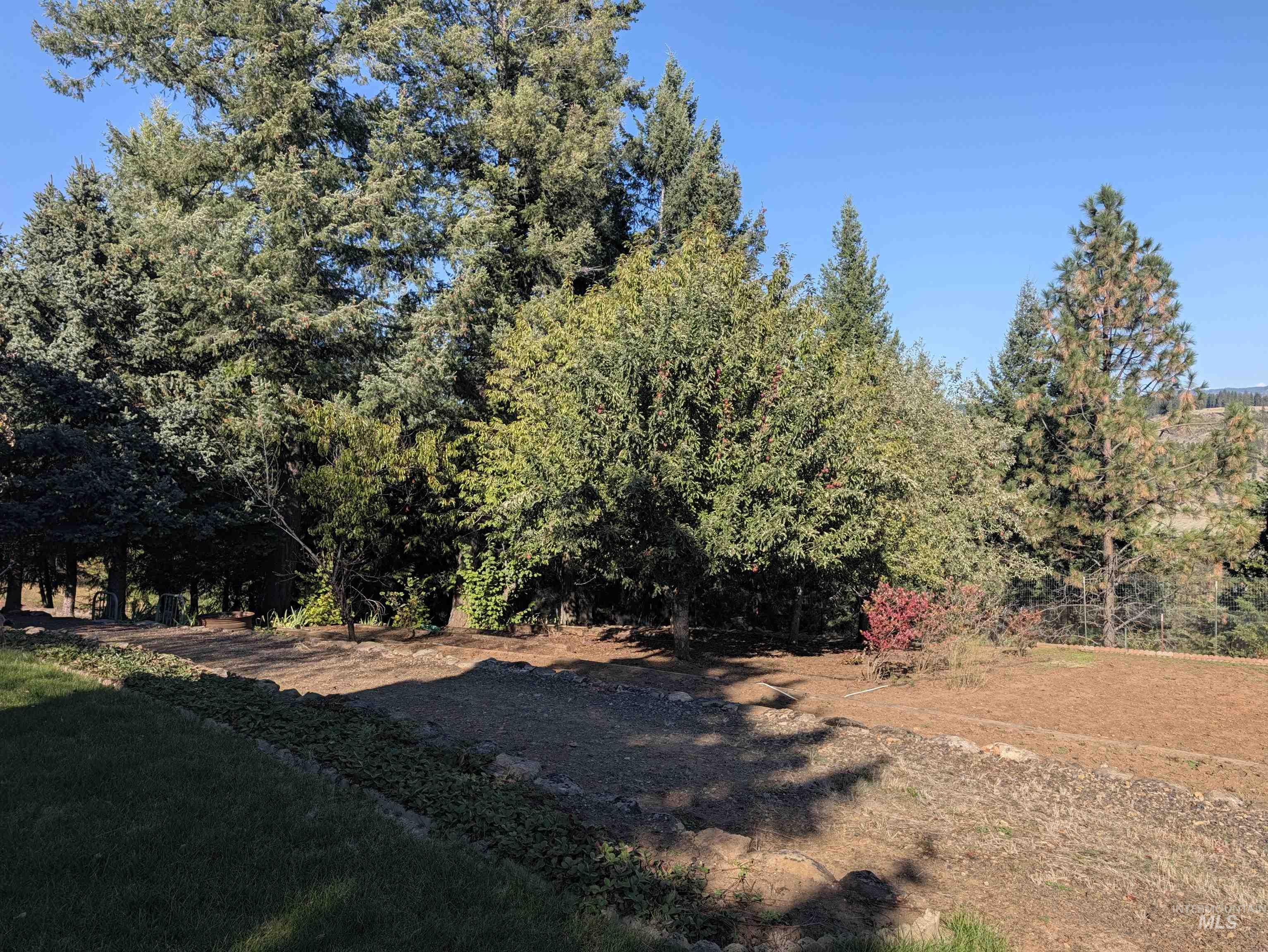 1249 Battle Ridge Road Property Photo 13