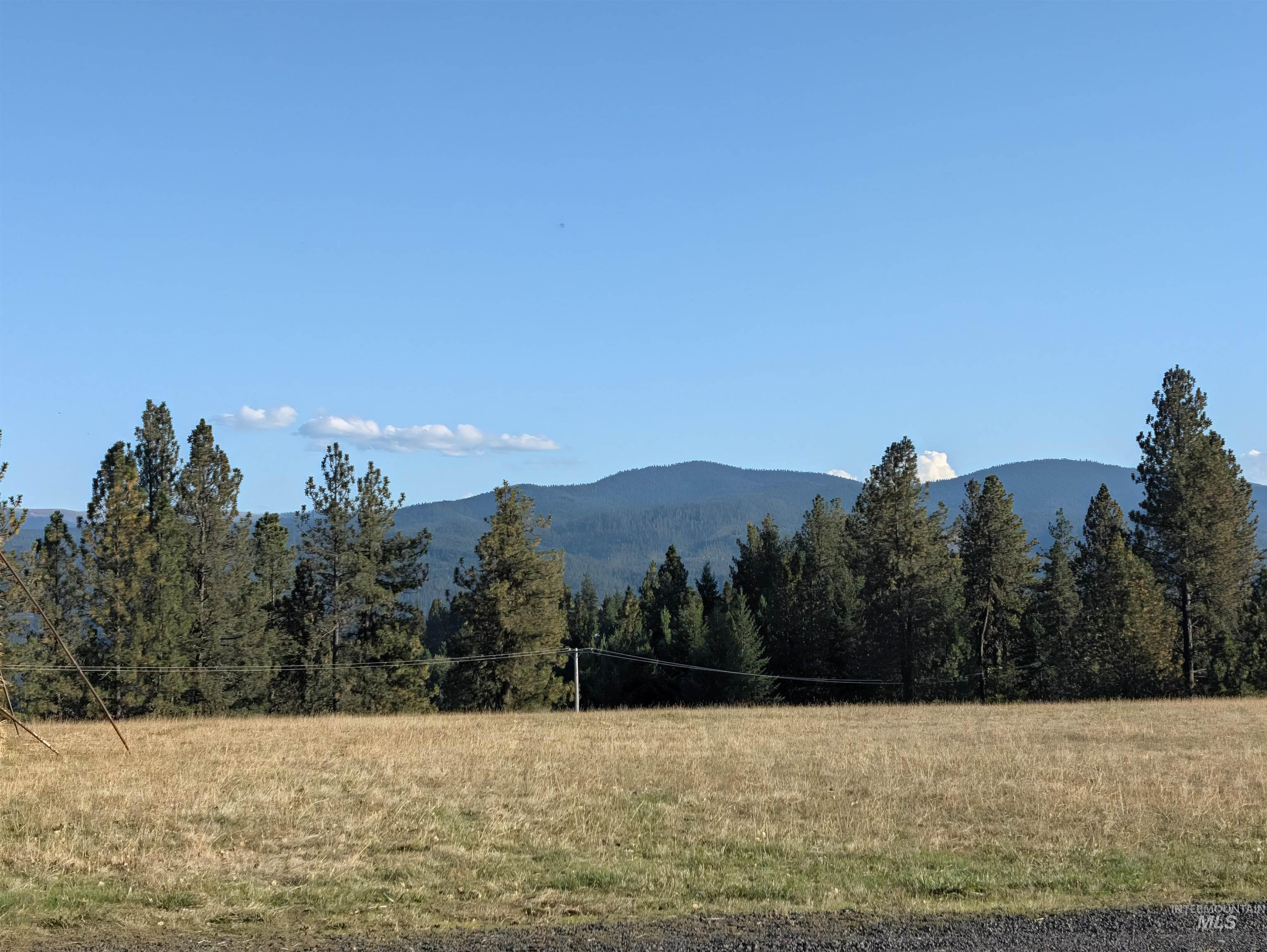 1249 Battle Ridge Road Property Photo 15