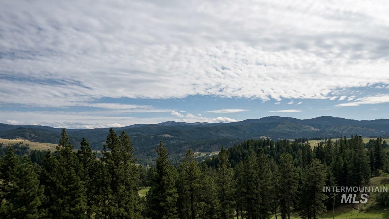 1249 Battle Ridge Road Property Photo 24
