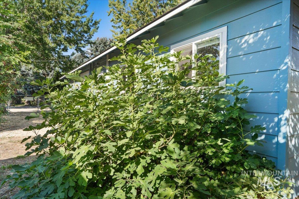 3516 N North Street Property Photo 42
