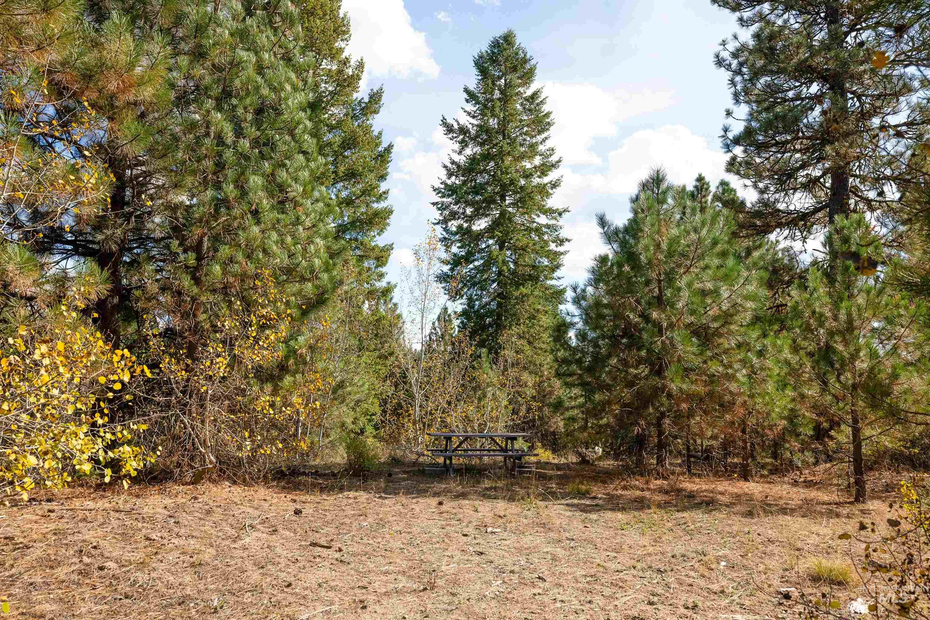 47 Coit Drive Property Photo 2
