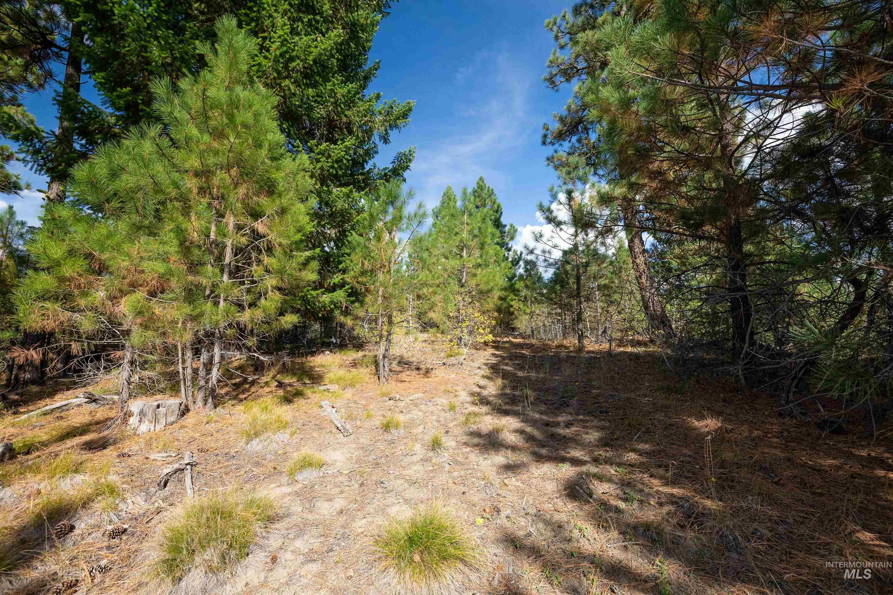 47 Coit Drive Property Photo 3