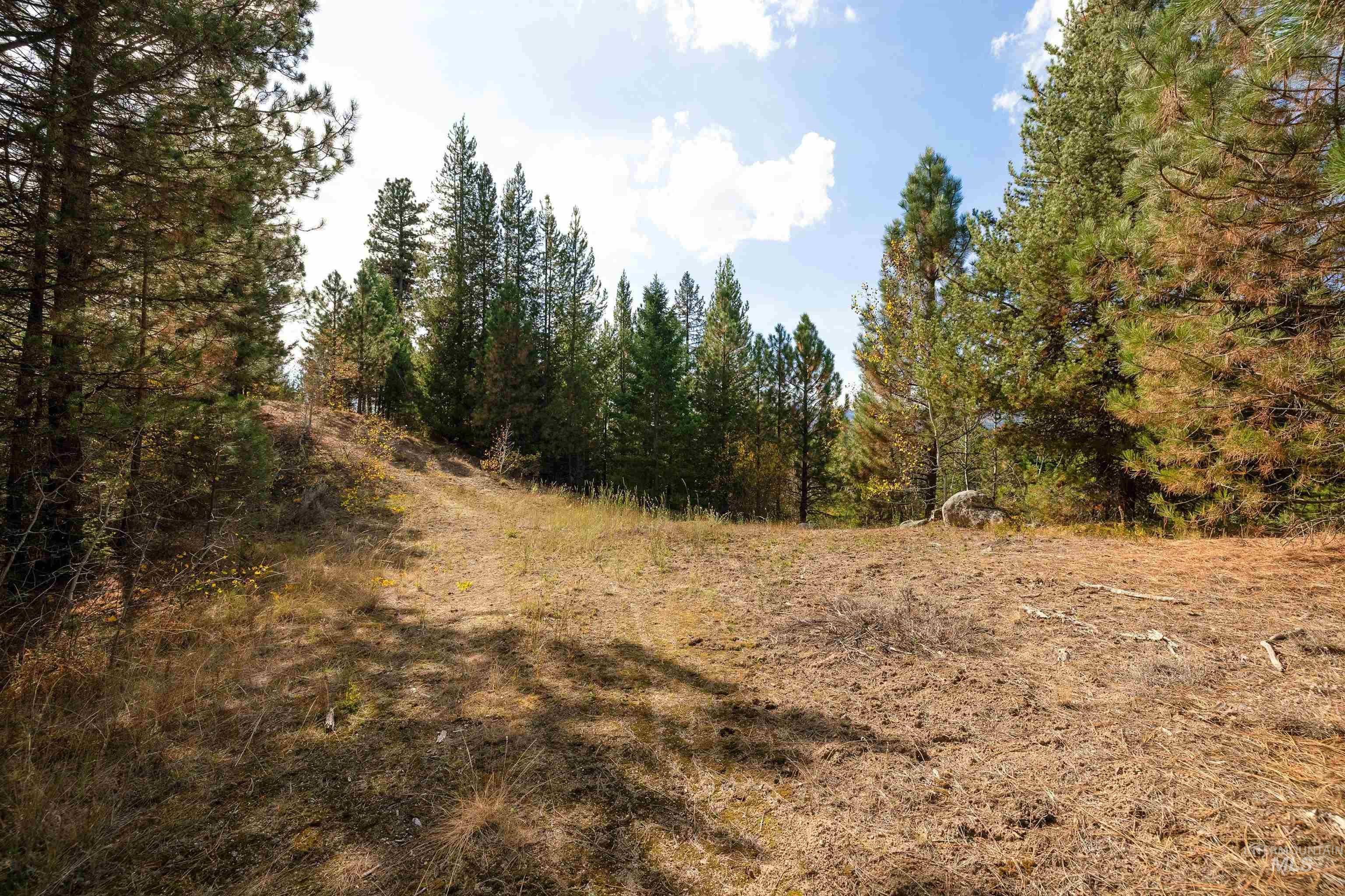 47 Coit Drive Property Photo 12