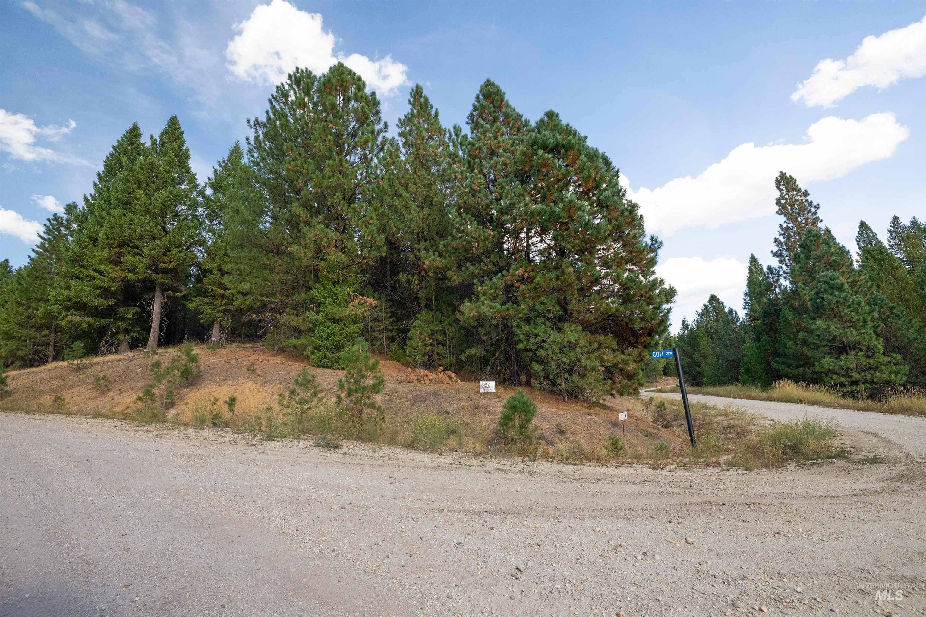 47 Coit Drive Property Photo 18