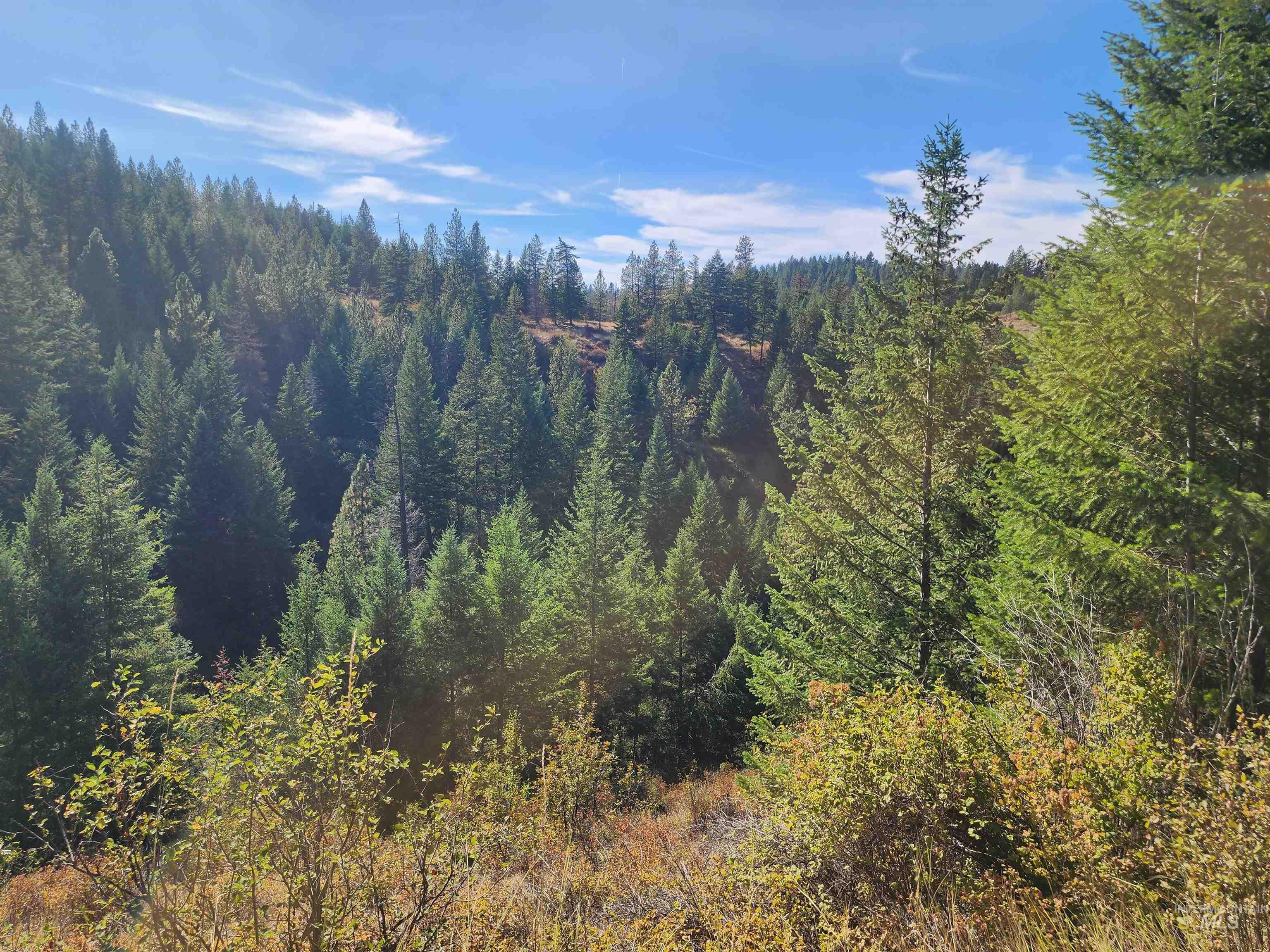 264 Jack Pine Road Property Photo 8