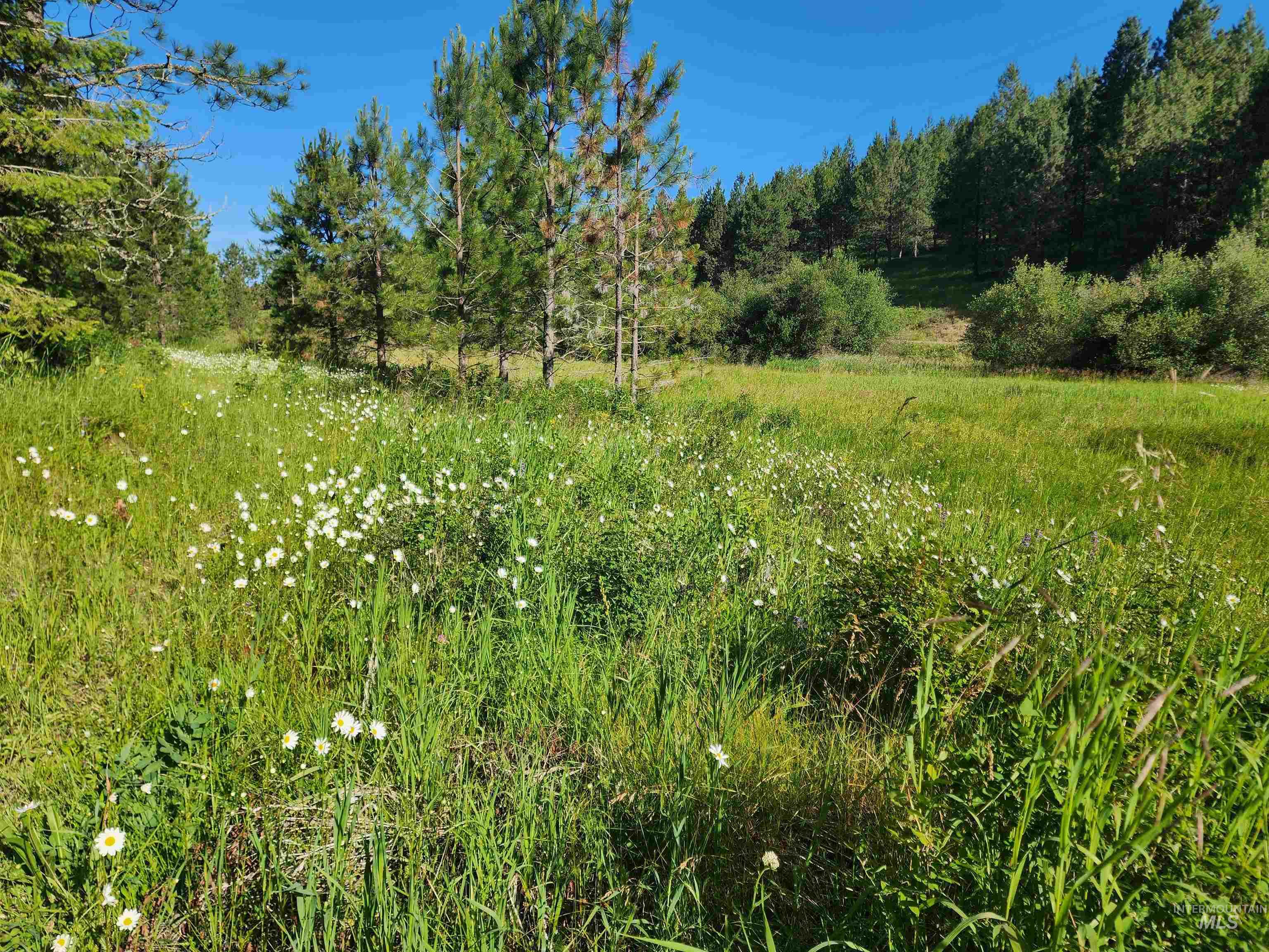 Tbd Wallen Road Property Photo 2