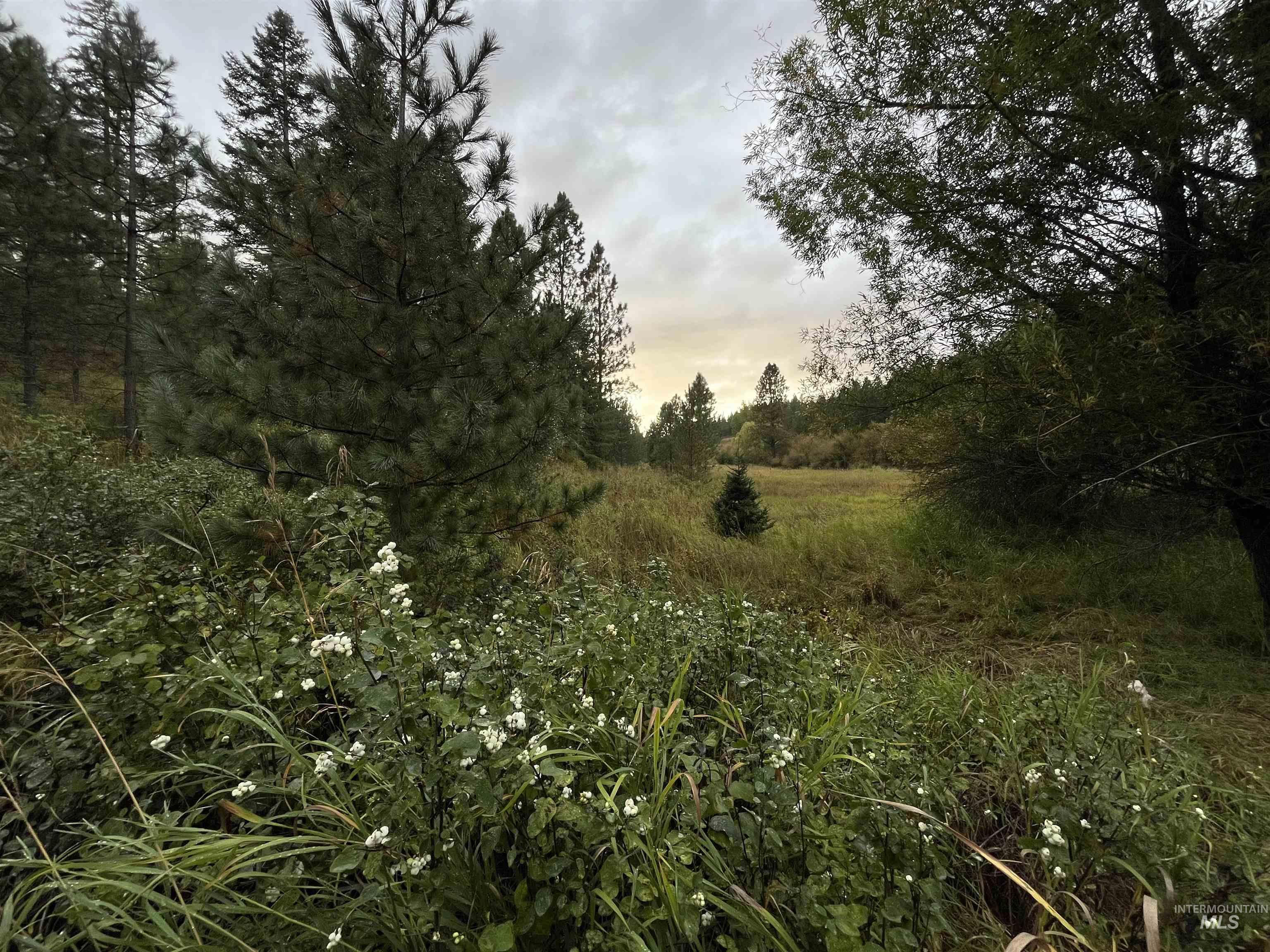 Tbd Wallen Road Property Photo 7