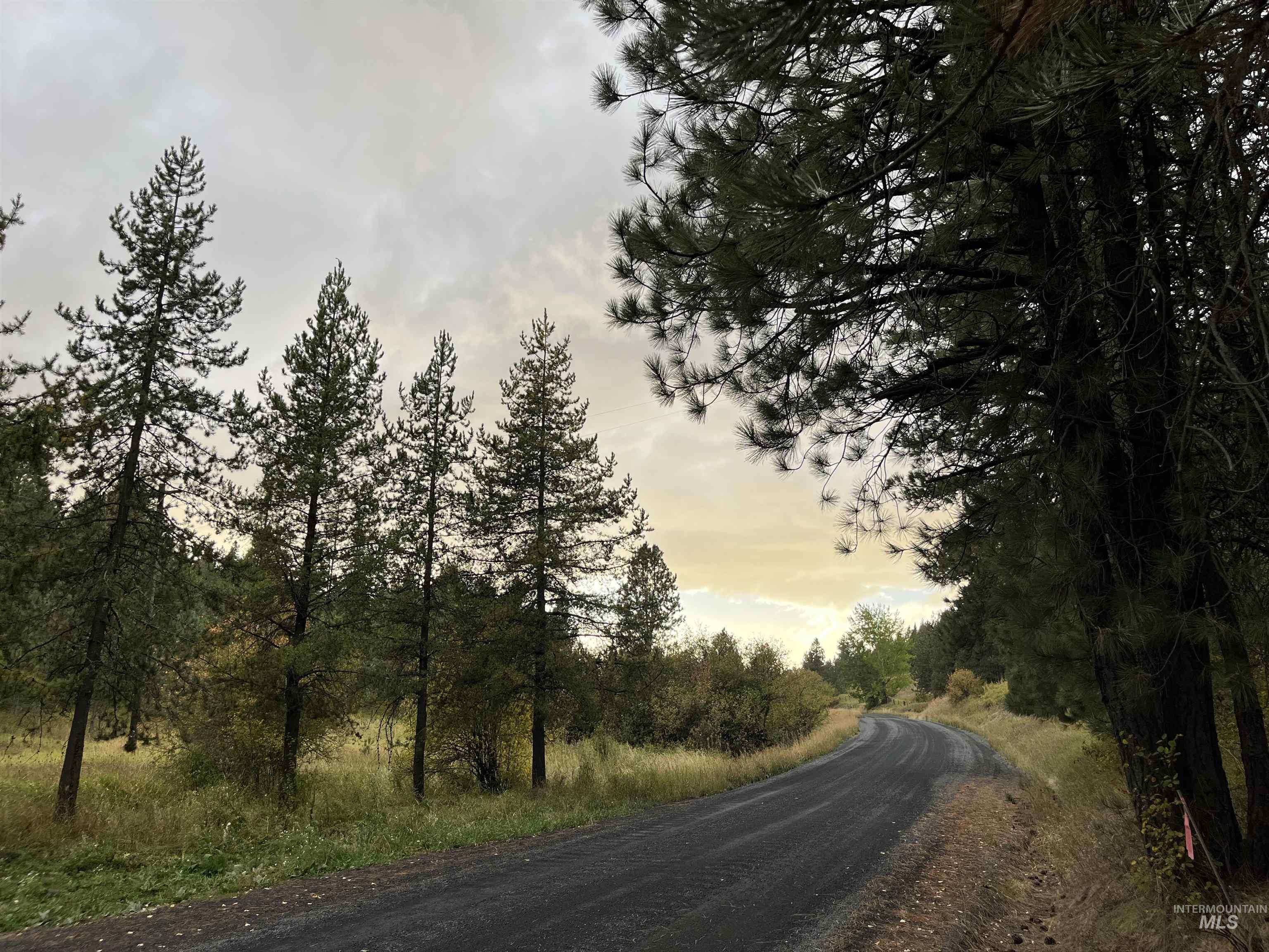 Tbd Wallen Road Property Photo 10